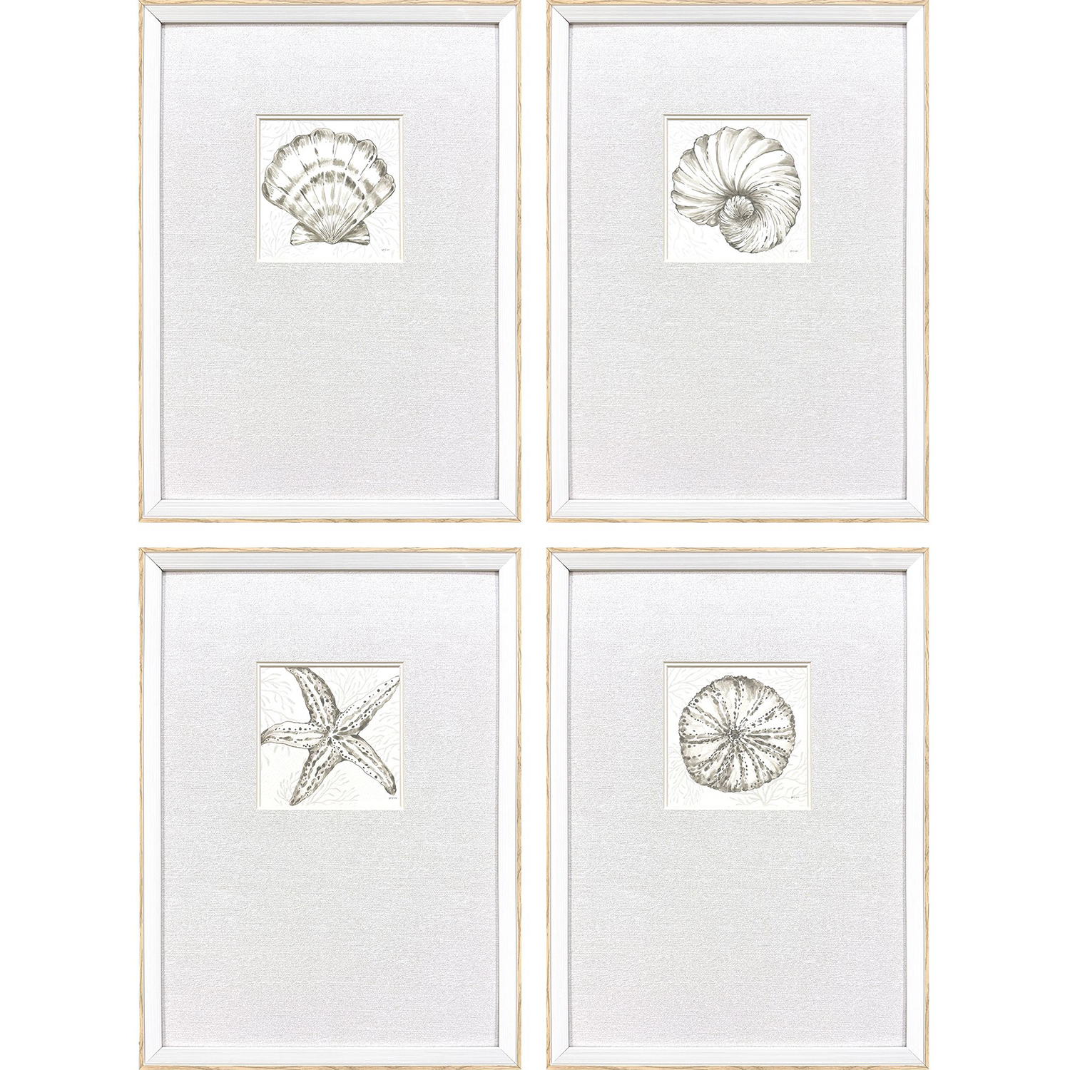 Coastal Reef Brown and Beige and Neutral and Sepia Framed Art