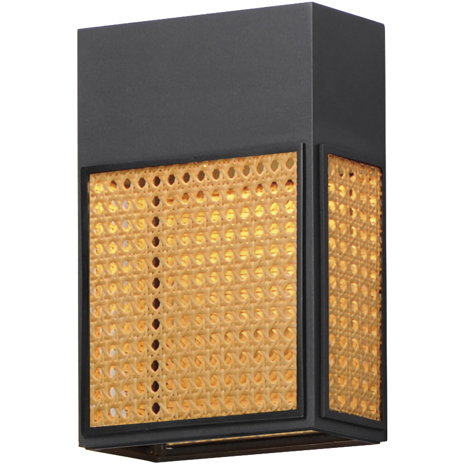 Lattice LED 12 inch Black Outdoor Wall Mount in Natural Rattan