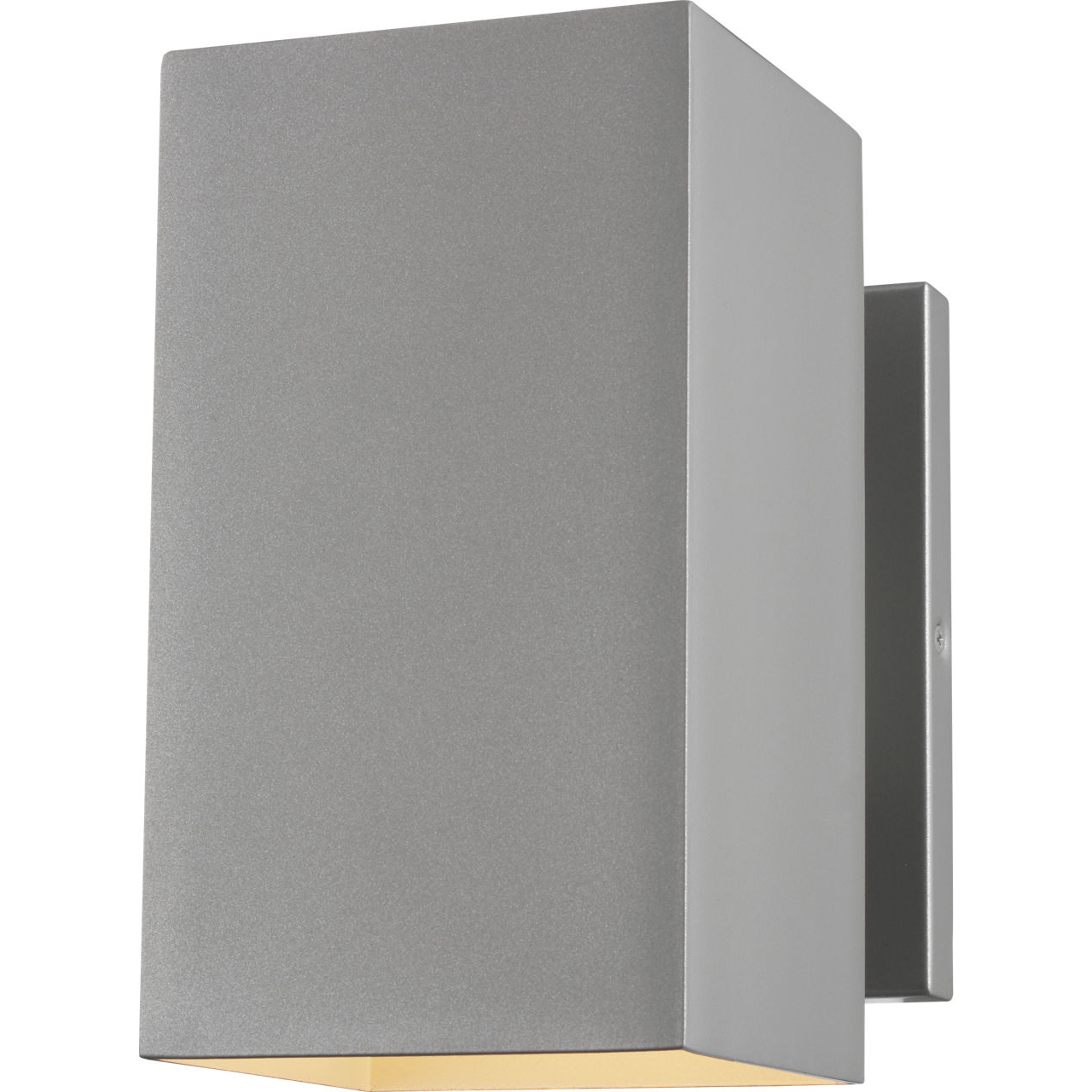Pohl 1 Light 9 inch Painted Brushed Nickel Outdoor Wall Lantern