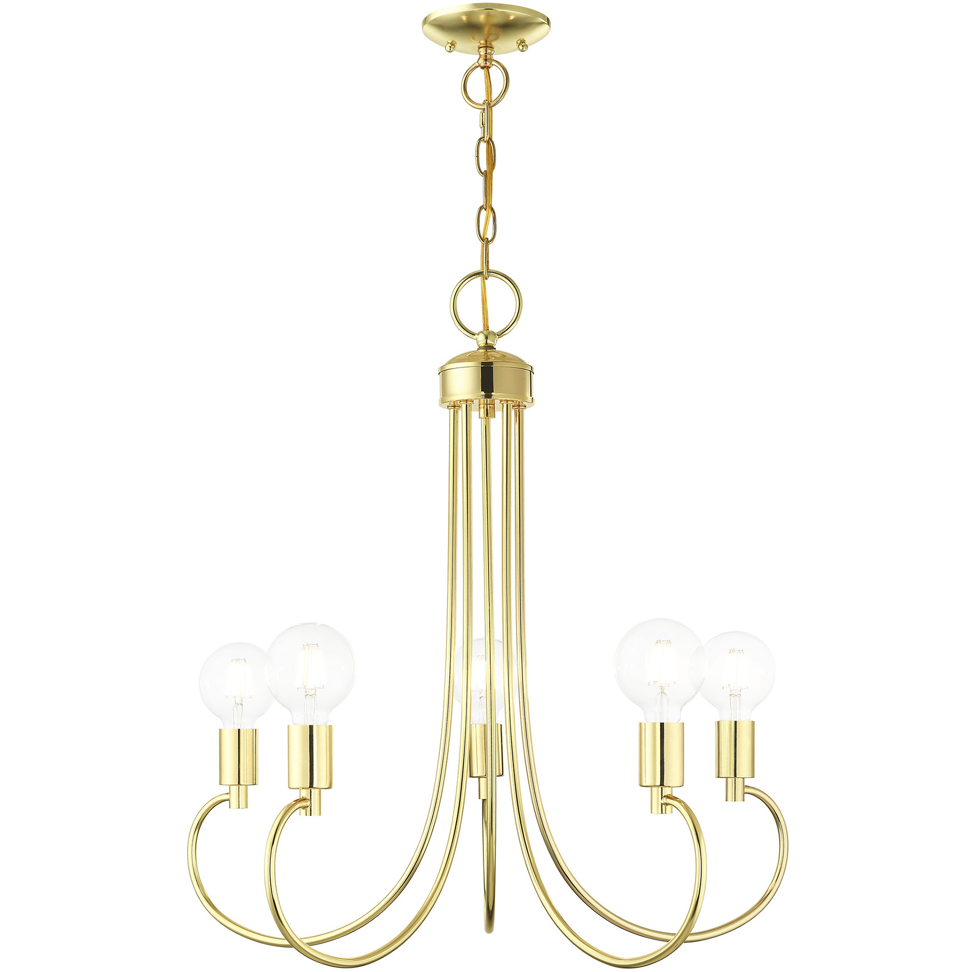 Bari 5 Light 25 inch Polished Brass Chandelier Ceiling Light