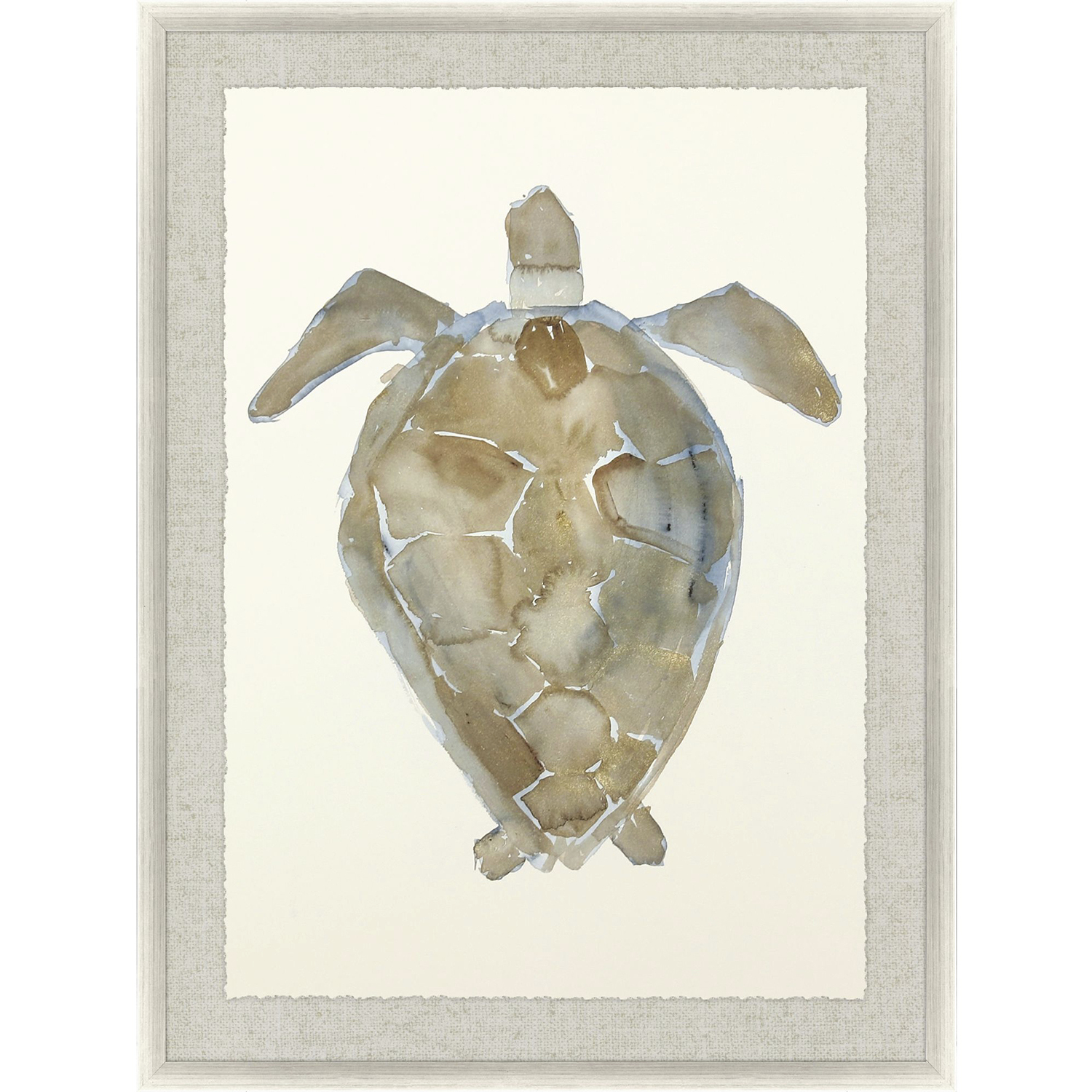 Neutral Turtle Brown and Beige and Blue and Neutral Framed Art