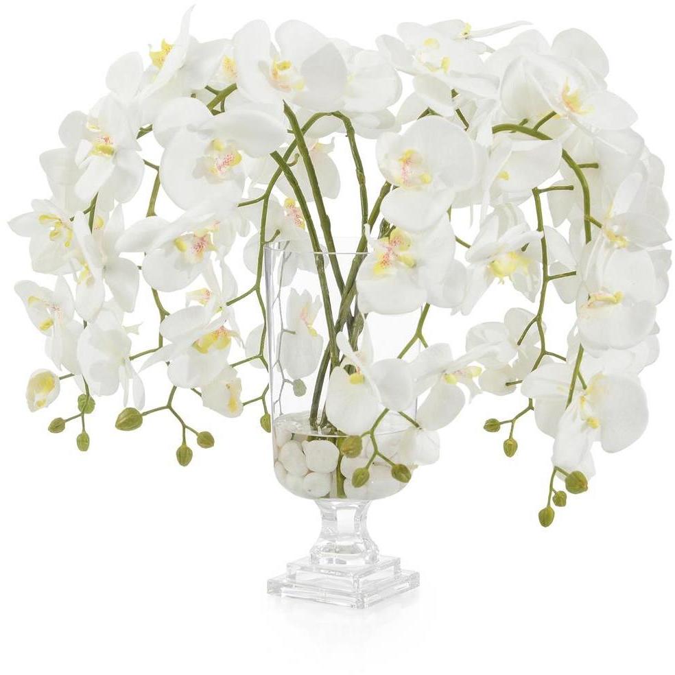 Glamorous Phals Botanical, Permanent Florals
