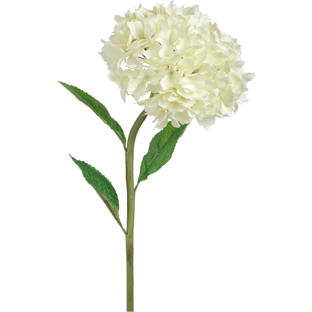 Almost Real Cream Stems