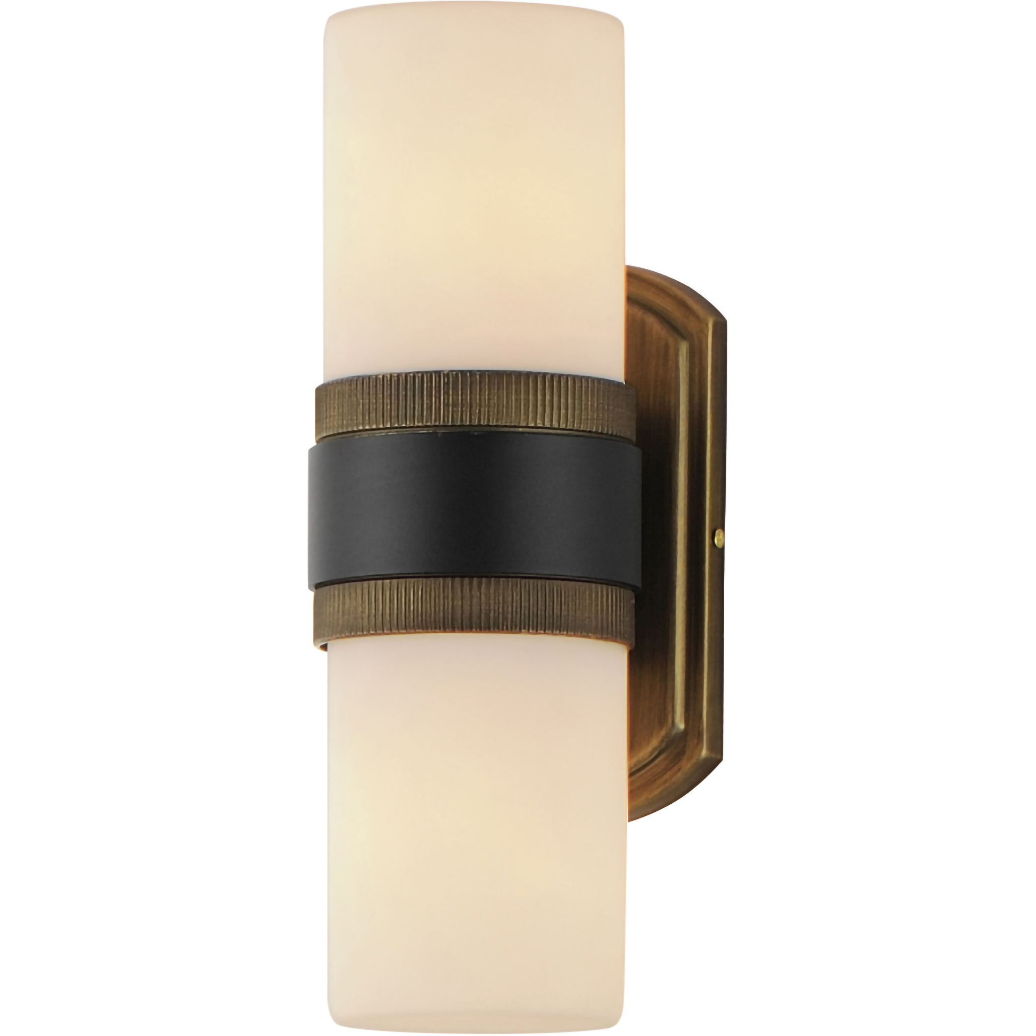 Ruffles 2 Light 14 inch Black and Antique Brass Outdoor Wall Mount