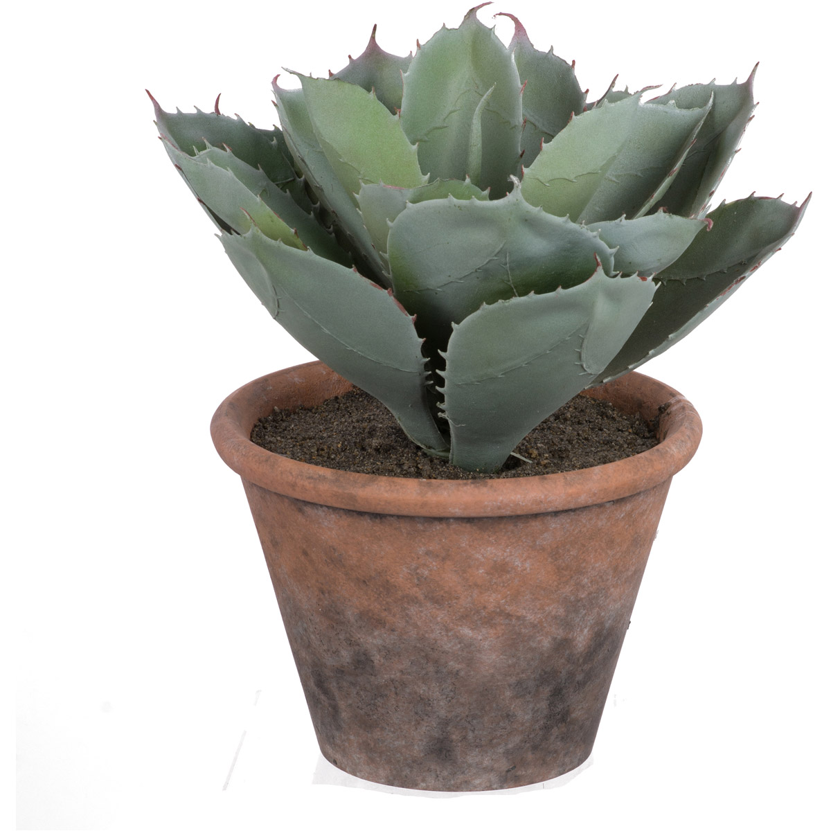 Potted Plush Cactus Green Floral D&eacute;cor