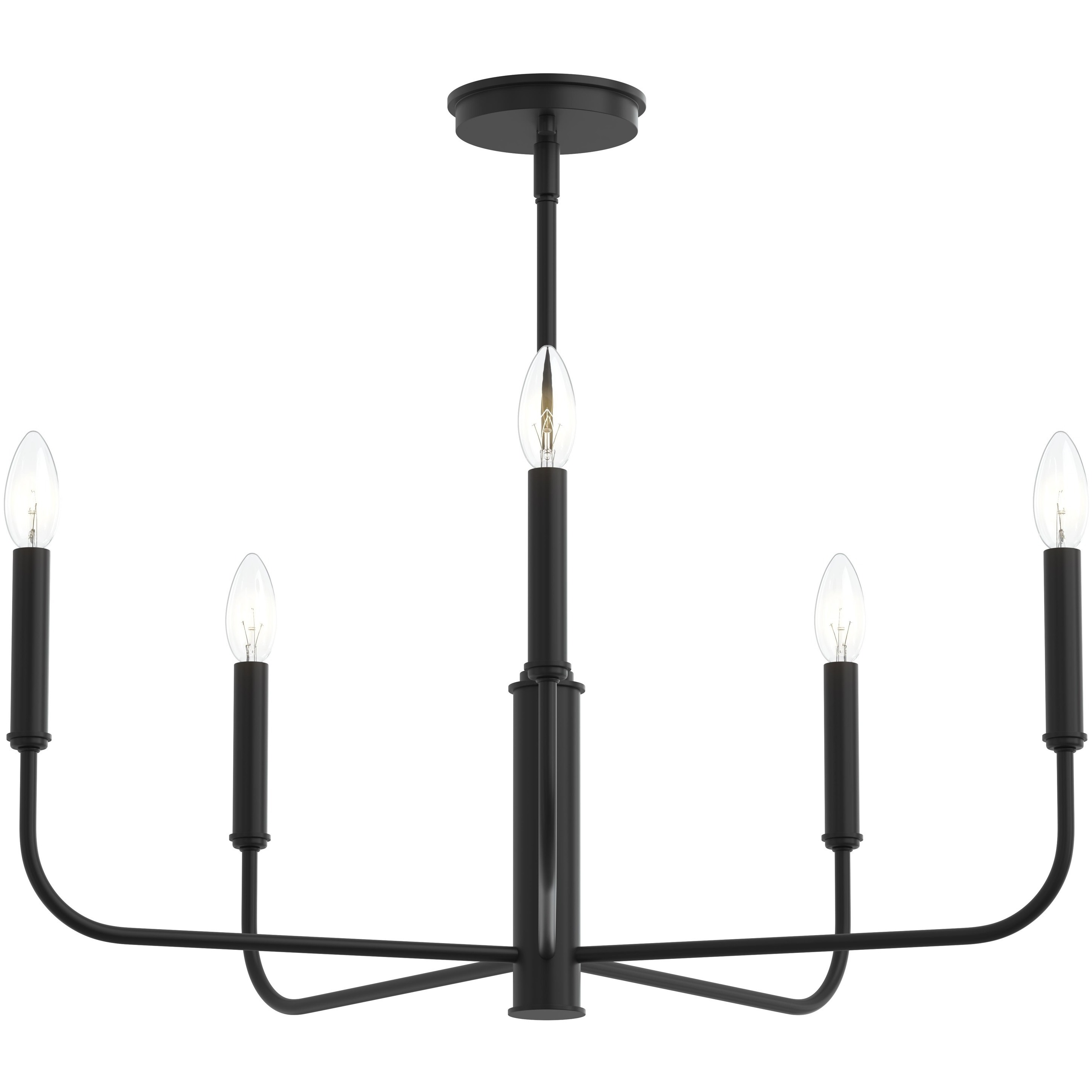 Reines 5 Light 26 inch Matte Black Chandelier Ceiling Light