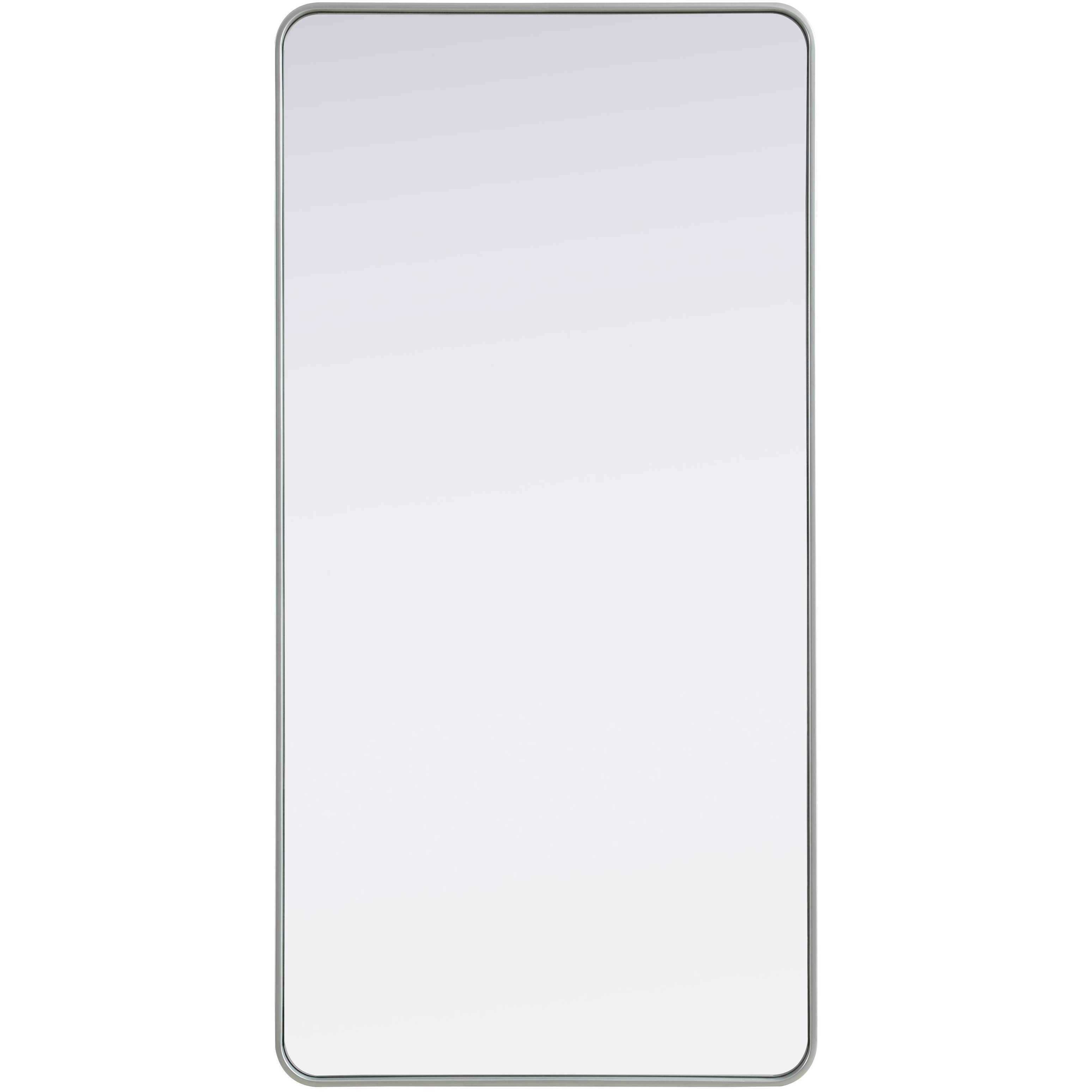 Remy 60 X 30 inch Silver Mirror