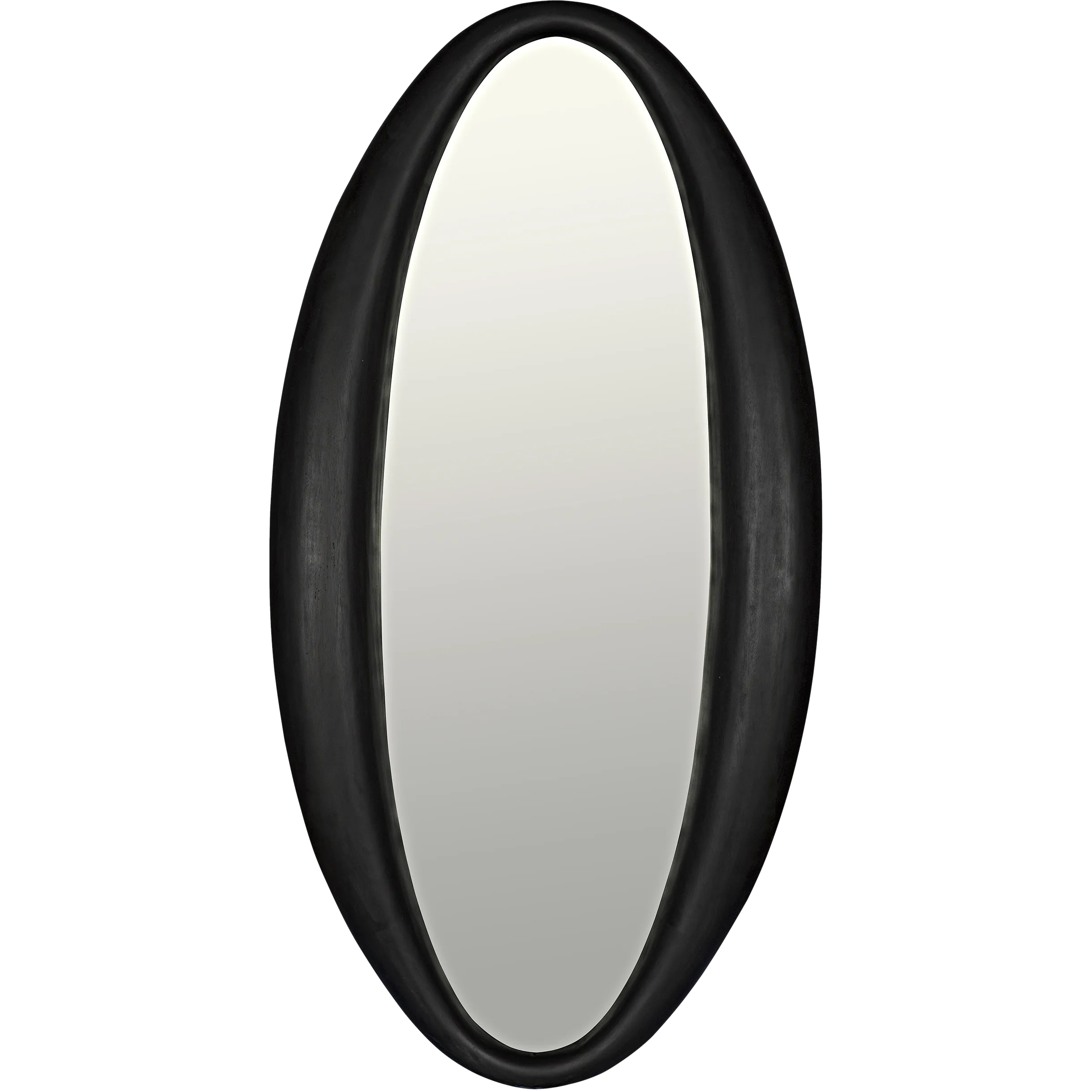 Woolsey 60 X 30 inch Charcoal Black Mirror
