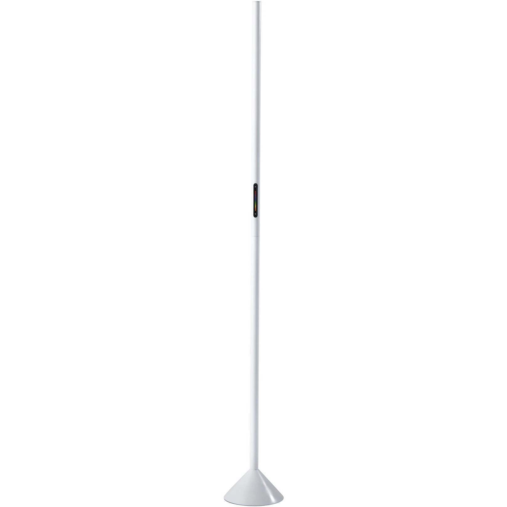Cole 58 inch 12 watt Matte White Color Changing Wall Washer Floor Lamp Portable Light, Simplee Adesso