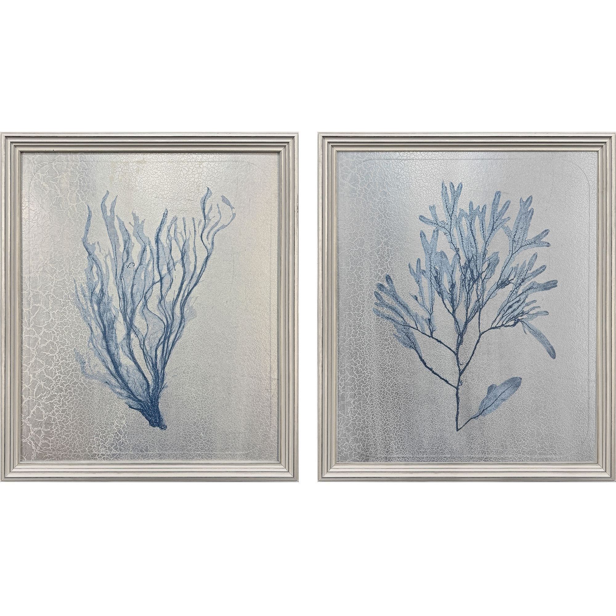 Oceanic Curiosity Blue and Metallic Framed Art, The Studio