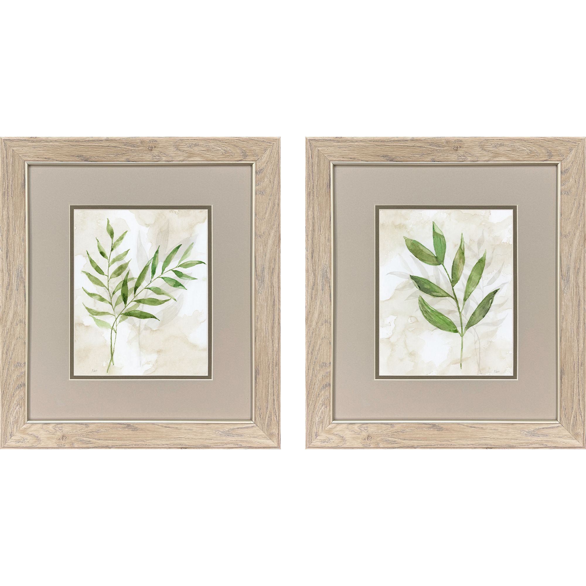 Botanical Bliss Green and Beige and White Framed Art, Propac