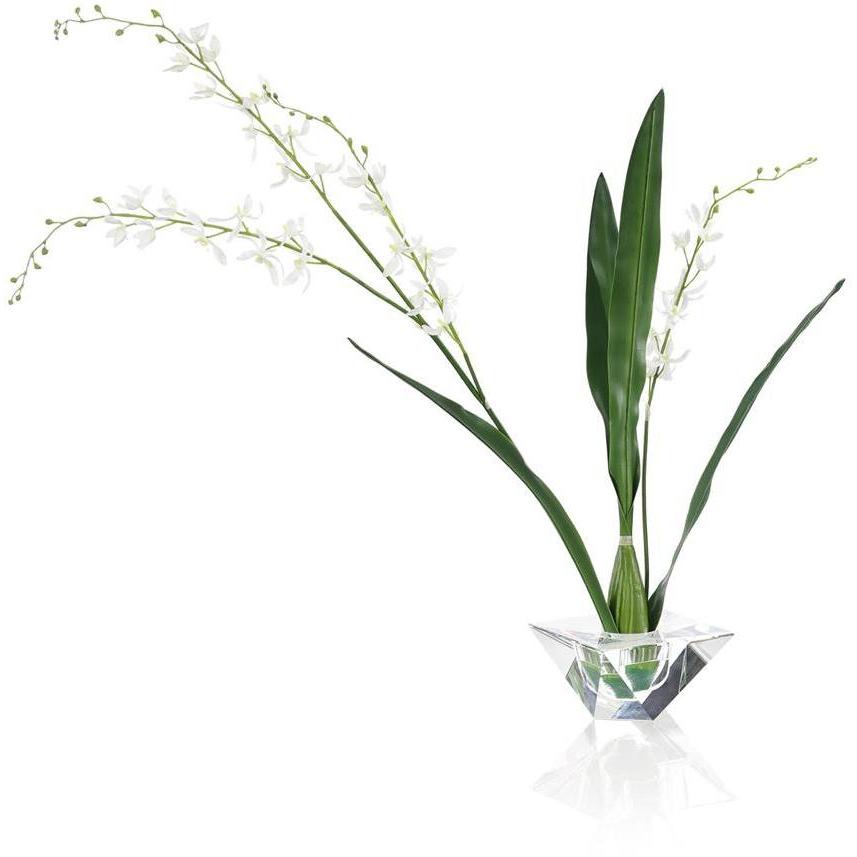 Graceful Cymbidium Botanical, Fresh Water Look