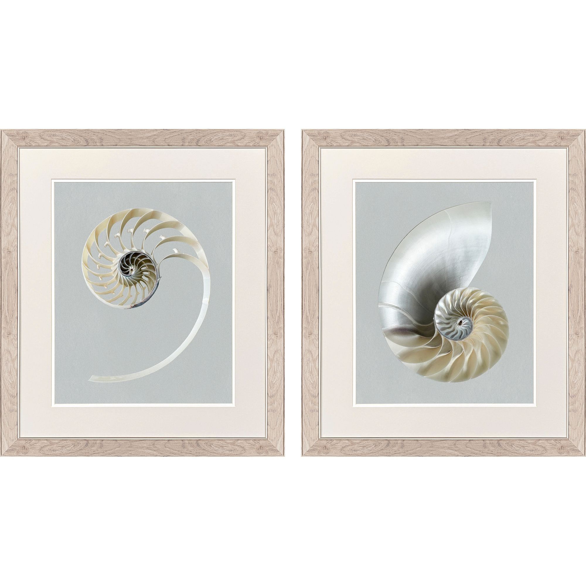 Neutral Nautilus Gray and Beige and Multi and Neutral Framed Art, Propac