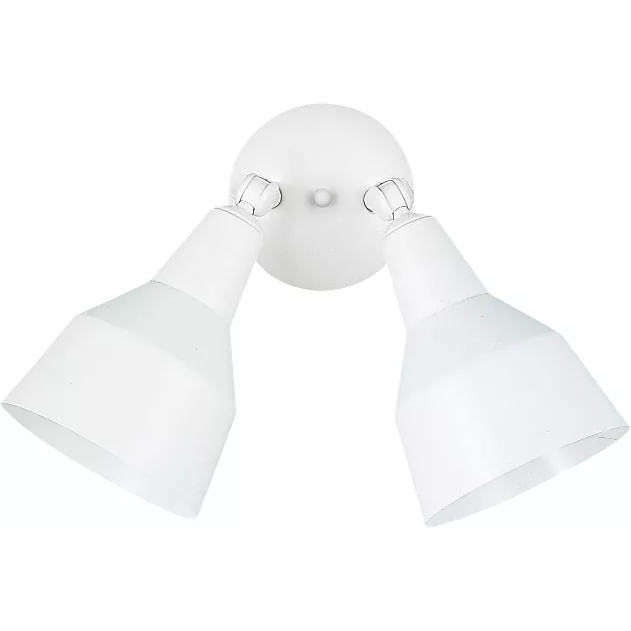 Flood Light 2 Light 12.5 inch White Outdoor Wall Or Ceiling Flush Mount, Medium
