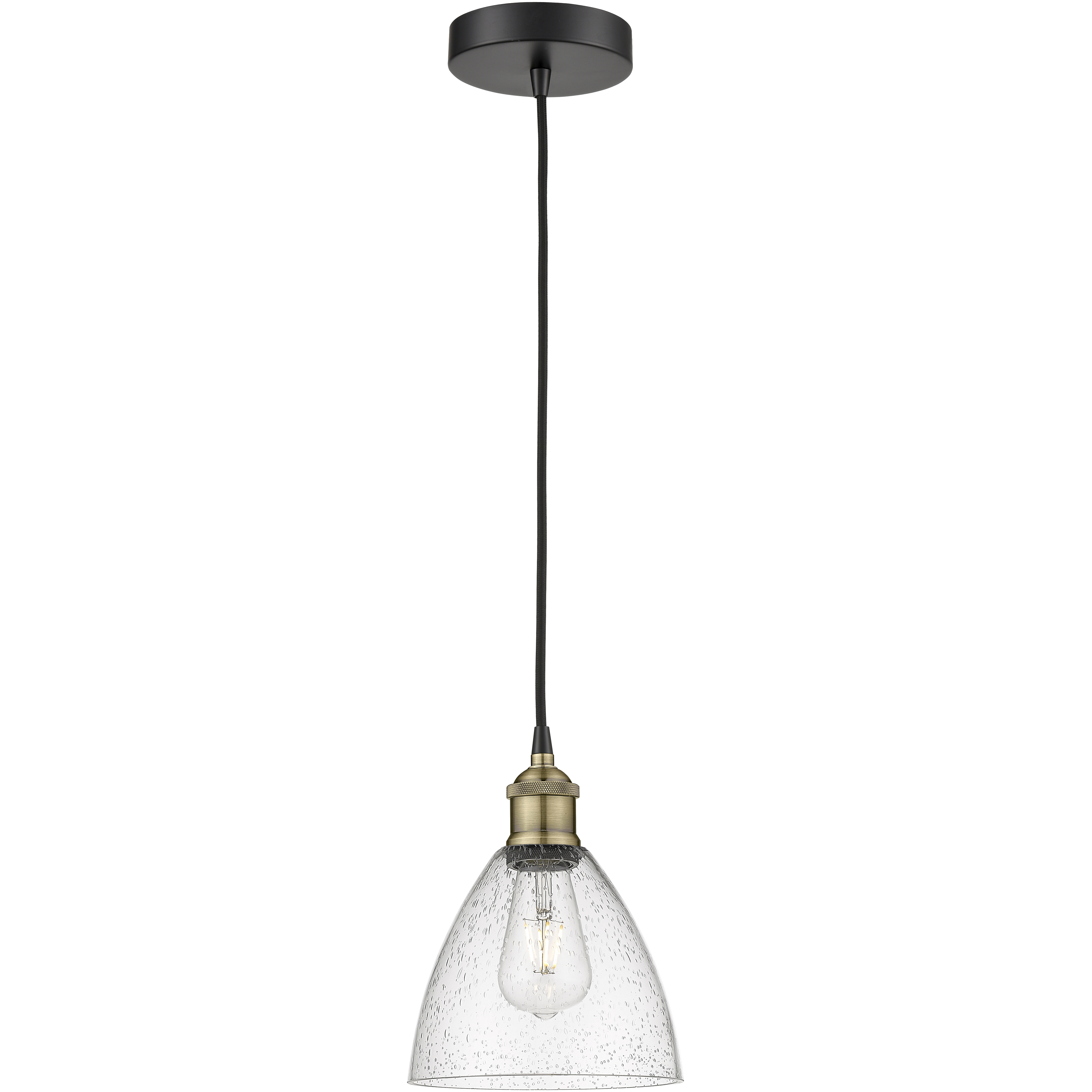 Edison Dome 1 Light 7.5 inch Black Antique Brass Mini Pendant Ceiling Light in Seedy Glass