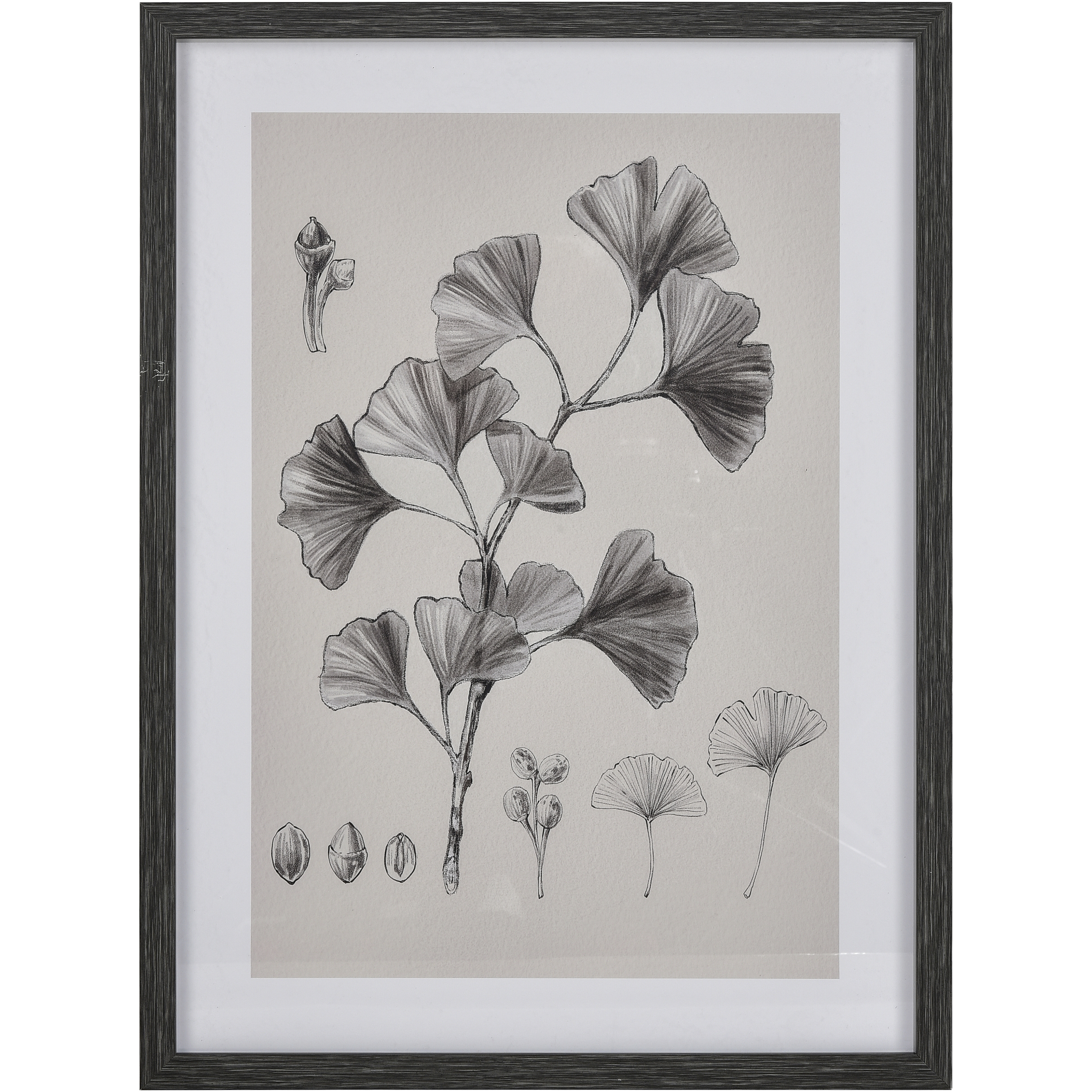 Ginkgo Botanic Ivory with Black Framed Wall Art