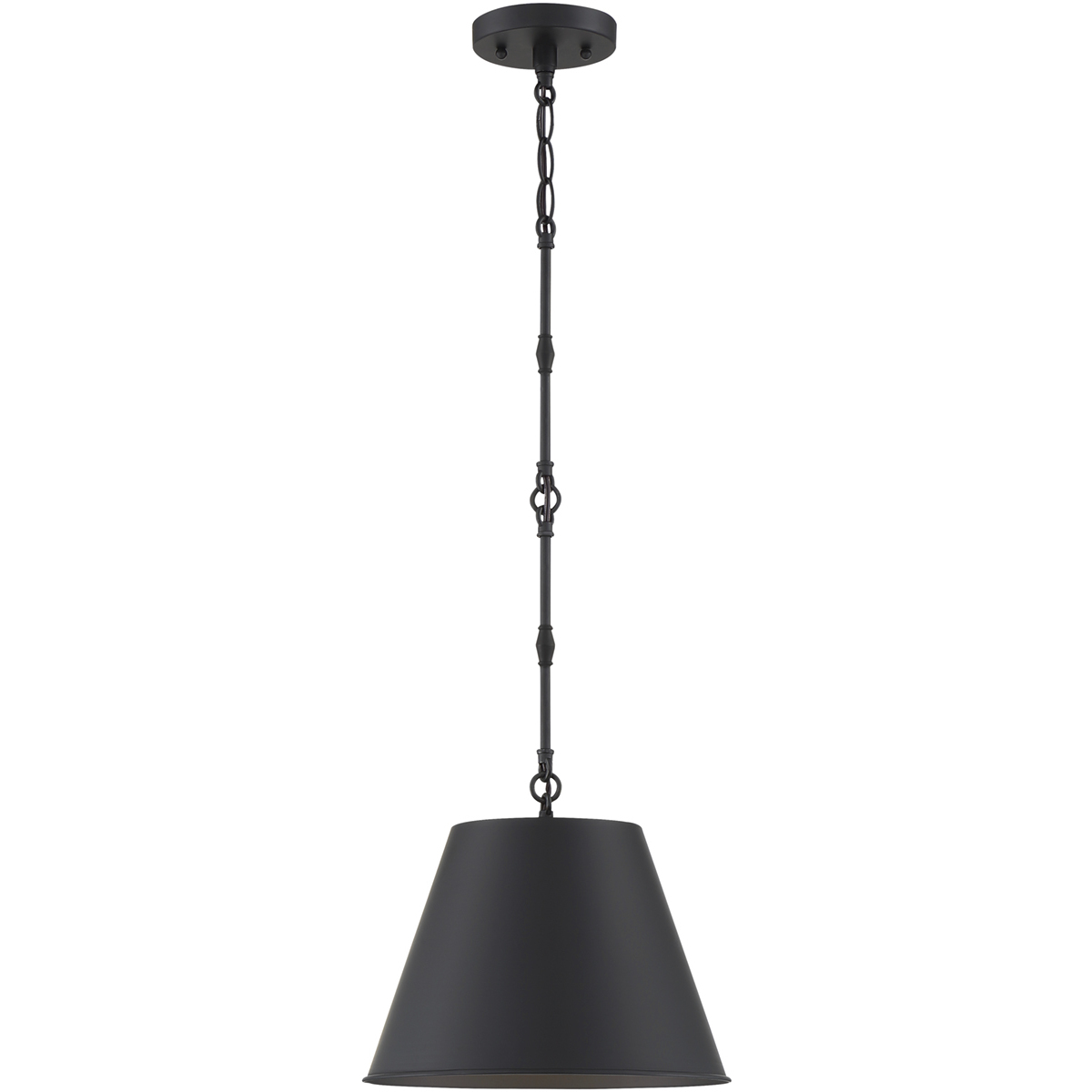 Alden 1 Light 12 inch Matte Black Pendant Ceiling Light, Essentials