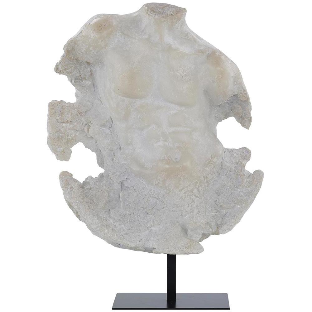 Evolving Torso 21 X 15 inch Sculpture