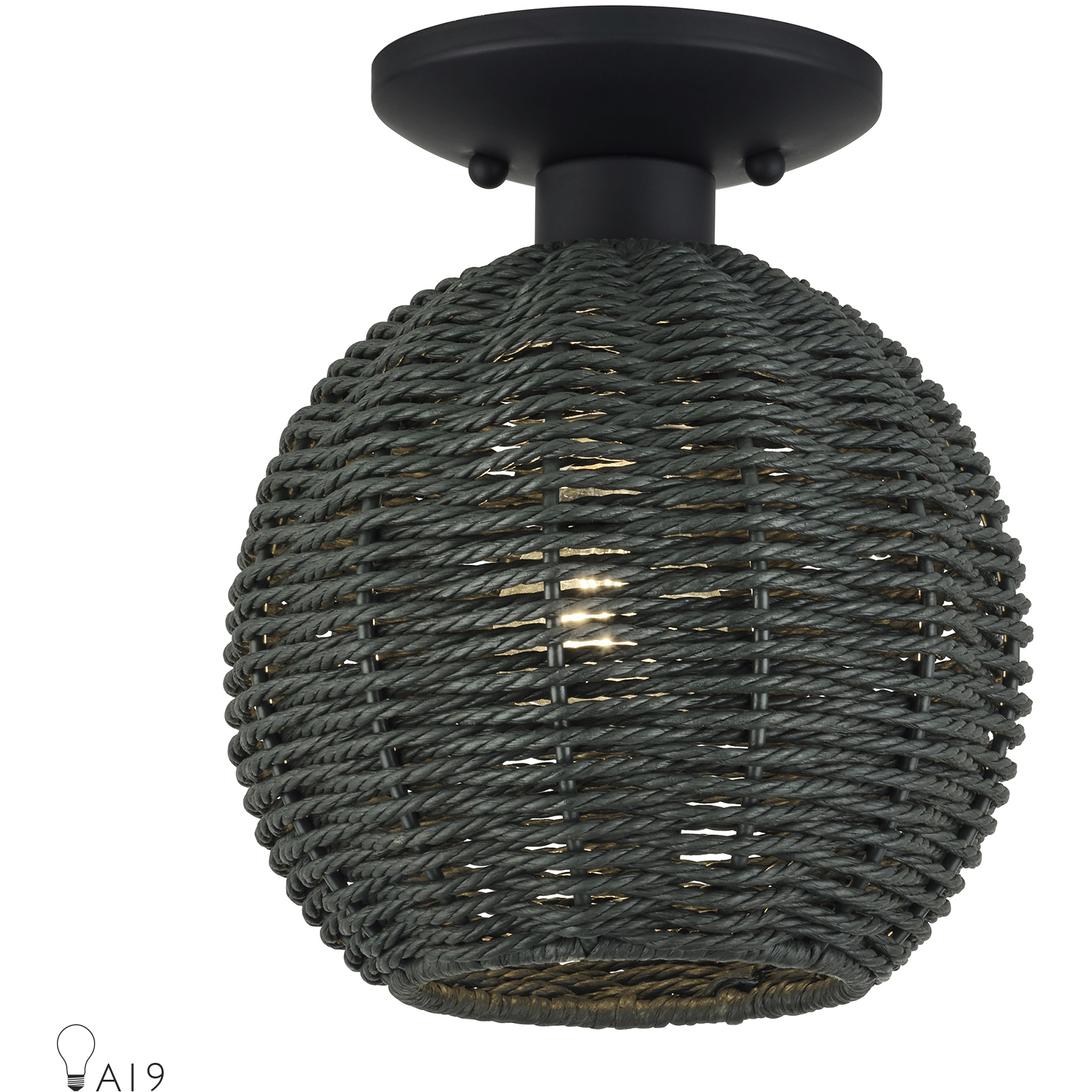 Deluna 1 Light 8 inch Black Semi Flush Mount Ceiling Light, Small