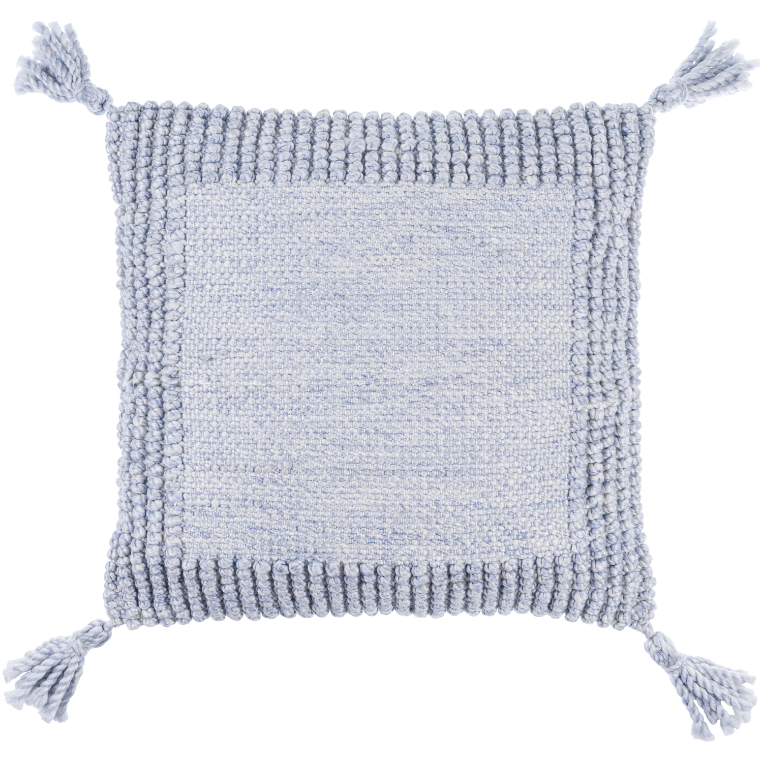 Alaric 20 X 20 inch Pale Blue Accent Pillow