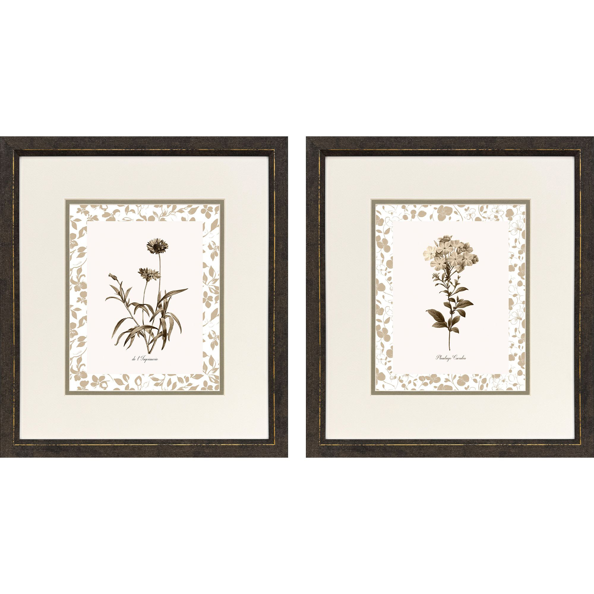 Neutral Imperial I Brown and Neutral Framed Art, Propac