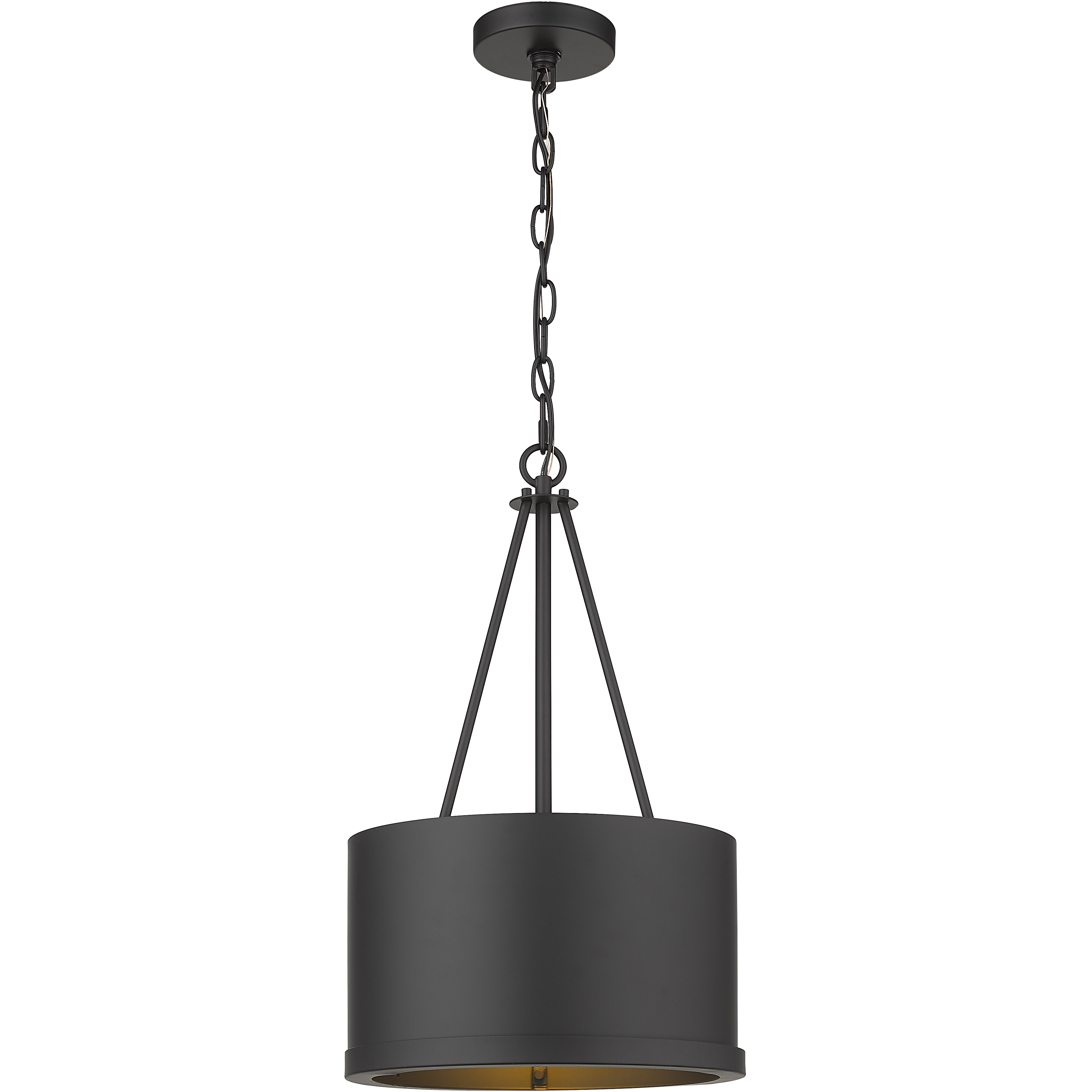 Eclipse LED 12 inch Matte Black Mini Pendant Ceiling Light
