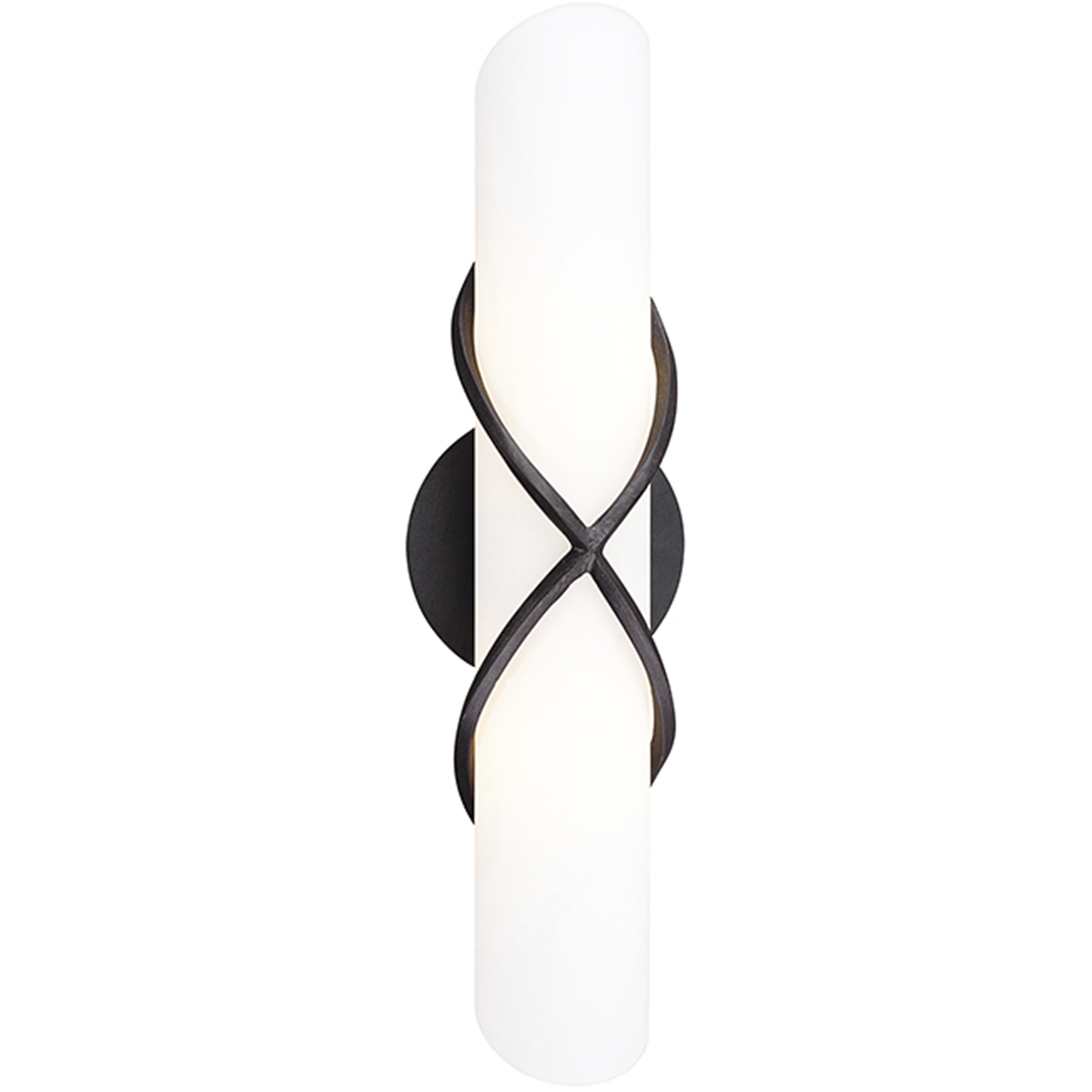 Roxbury 2 Light 18 inch Graphite Bath And Vanity Wall Light
