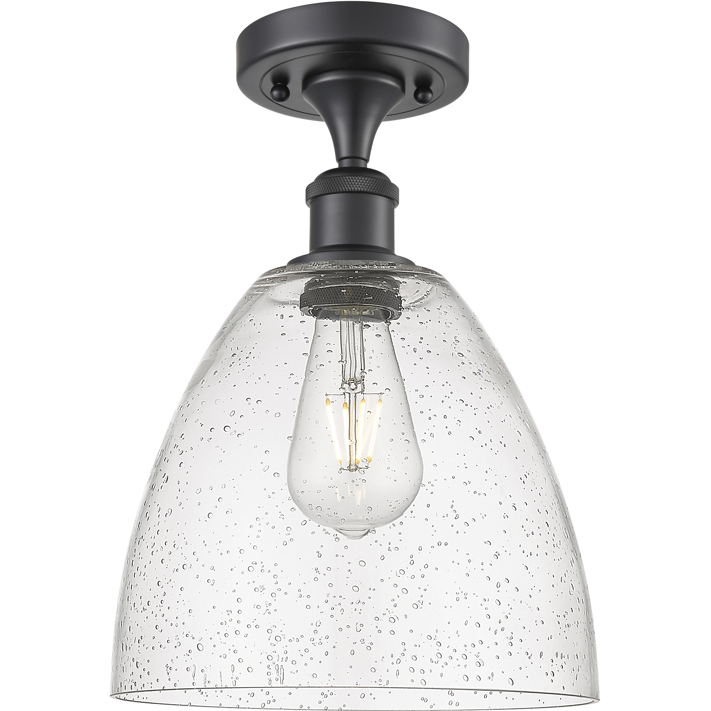 Edison Bristol Glass 1 Light 9 inch Matte Black Semi-Flush Mount Ceiling Light in Seedy Glass