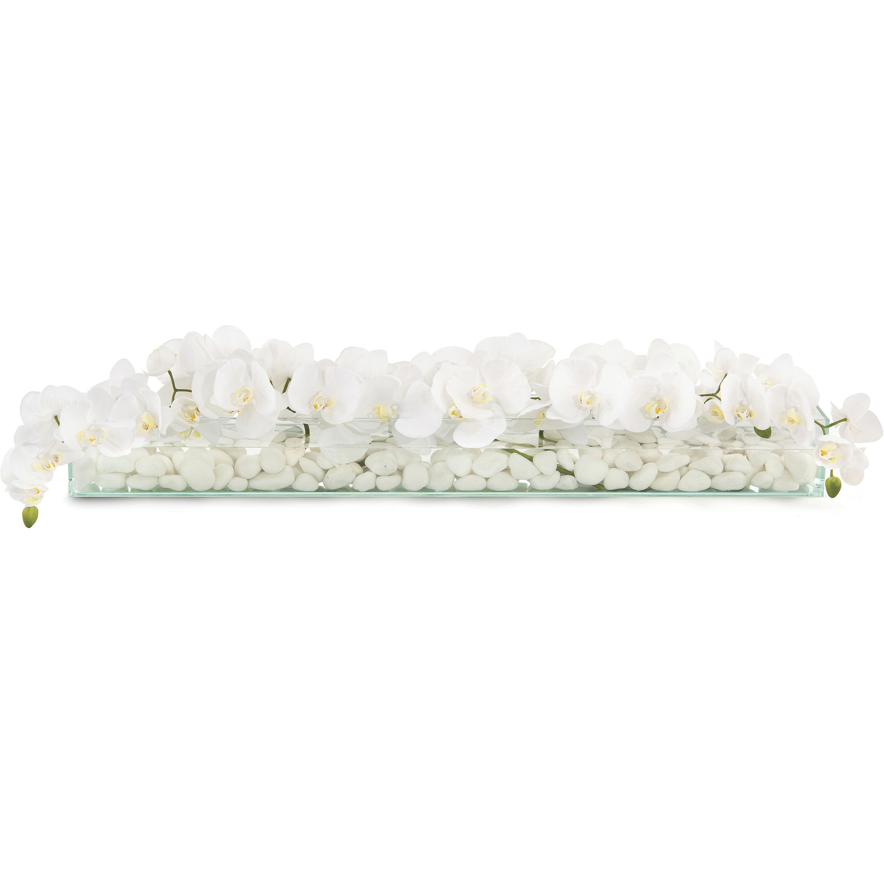 Floating Decorative Orchid