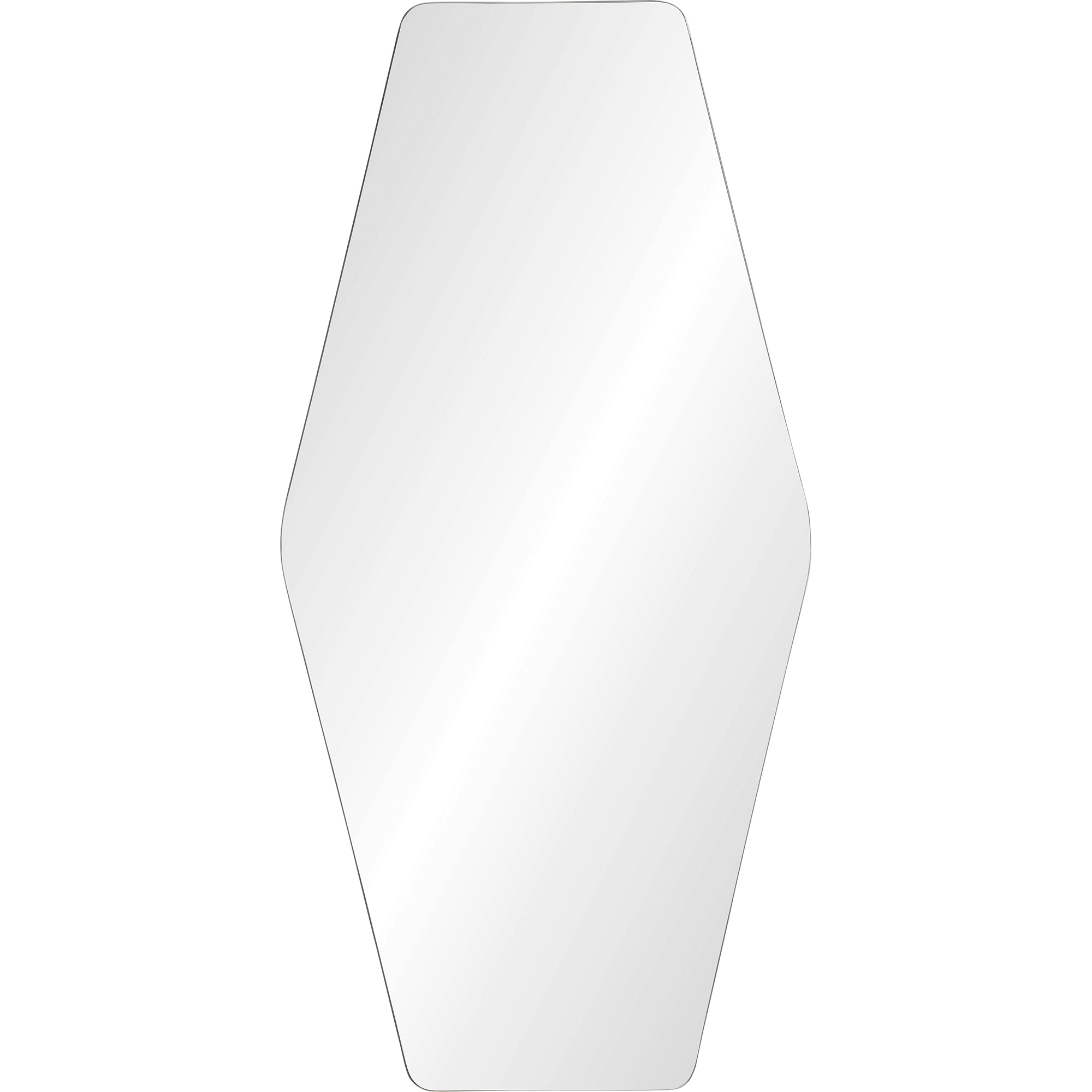 Switzer 48 X 24 inch Wall Mirror