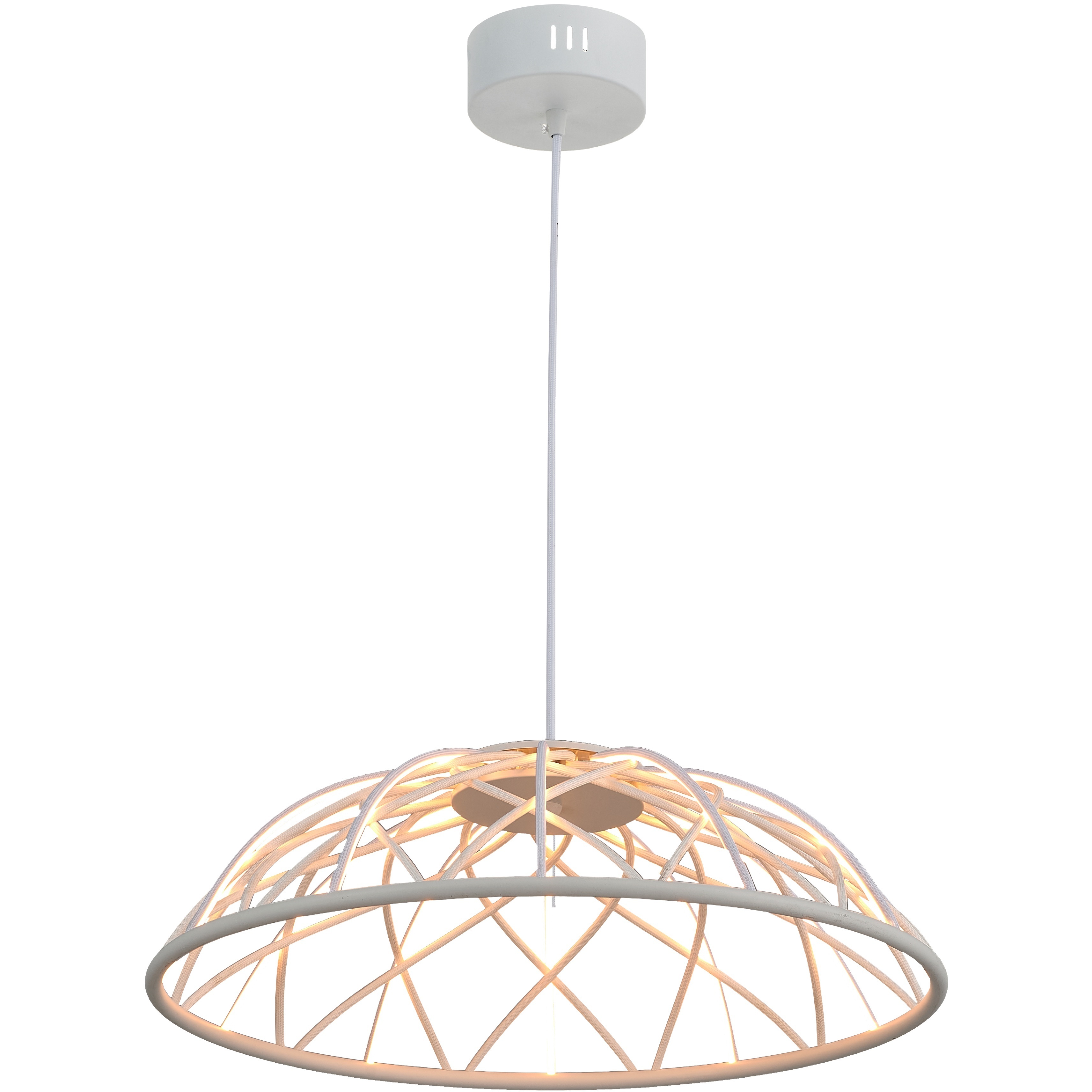 Pakuna LED 20 inch Matte White Pendant Ceiling Light