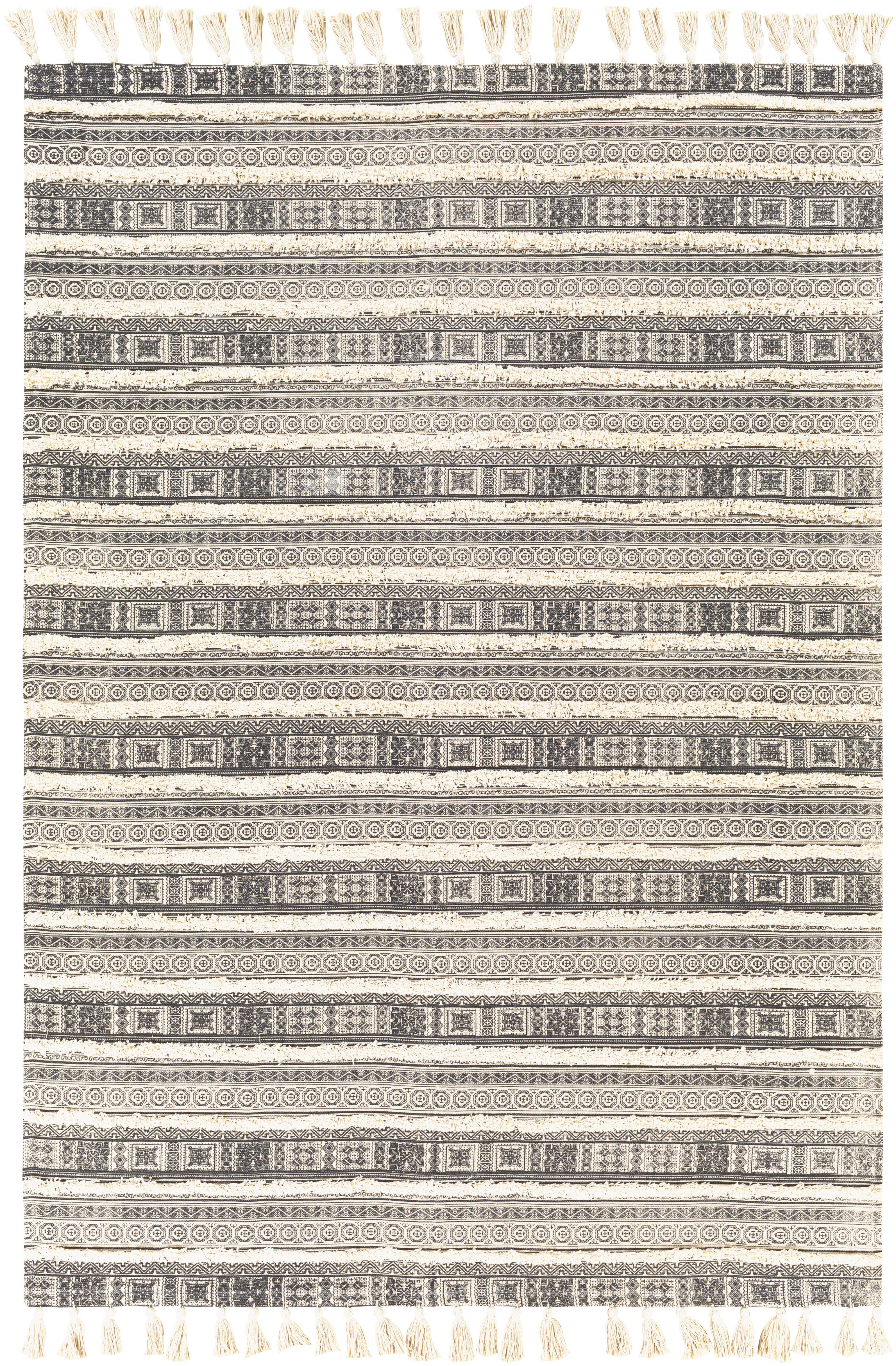 Calisa 48 X 30 inch Black Rug in 2 x 4, Rectangle