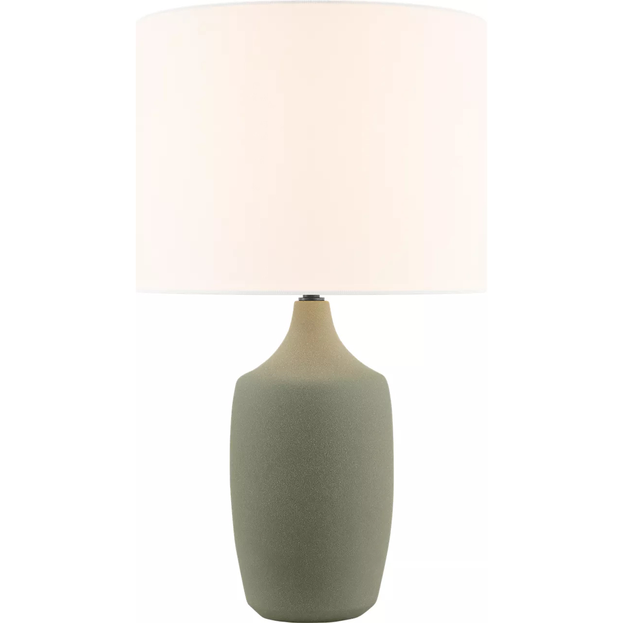 Richard June Sayer 22.28 inch 60 watt Sage Stoneware Table Lamp Portable Light