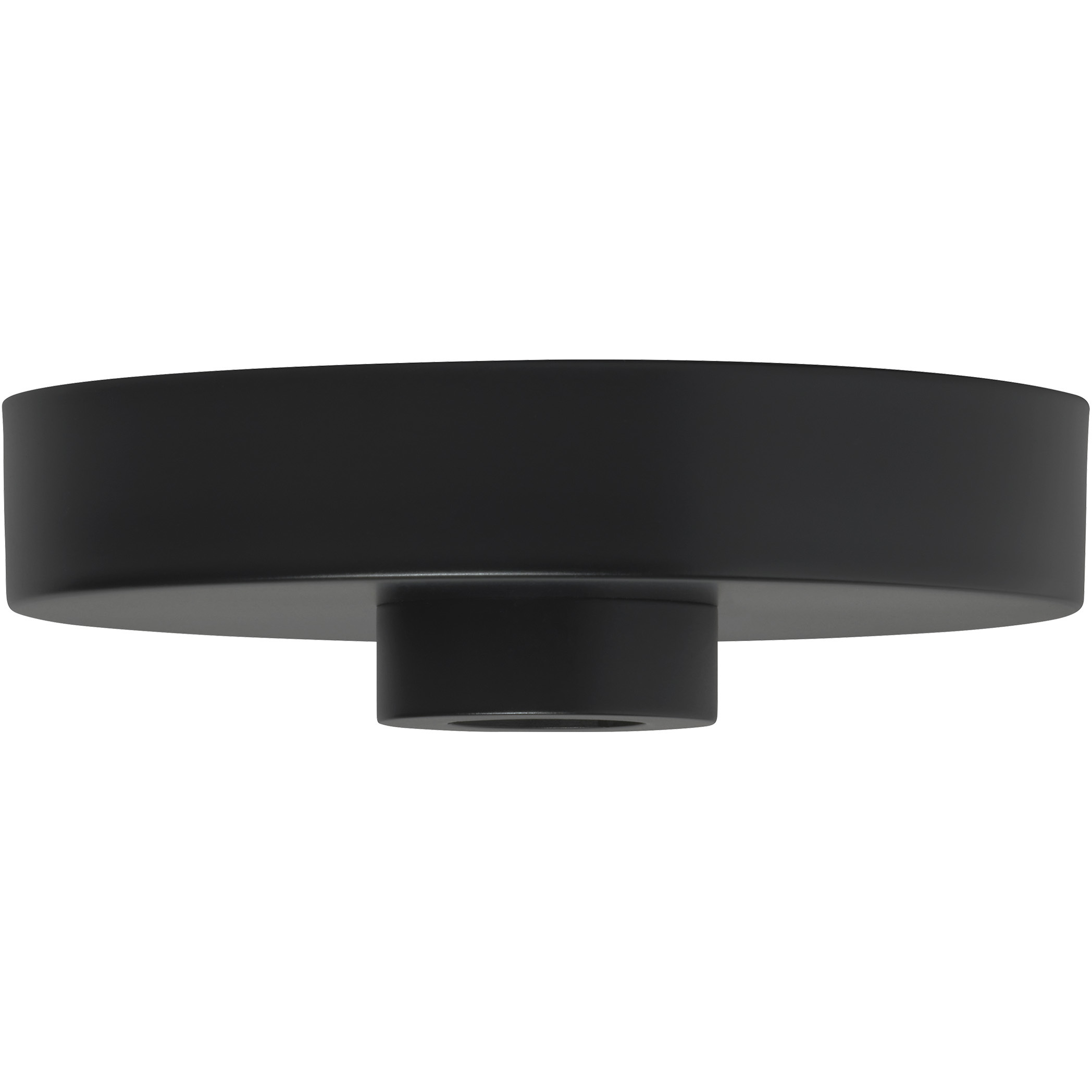 Sean Lavin Modern Nightshade Black Line-Voltage Shallow Canopy
