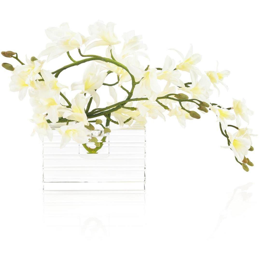Rock Crystal Orchids Botanical, Fresh Water Look