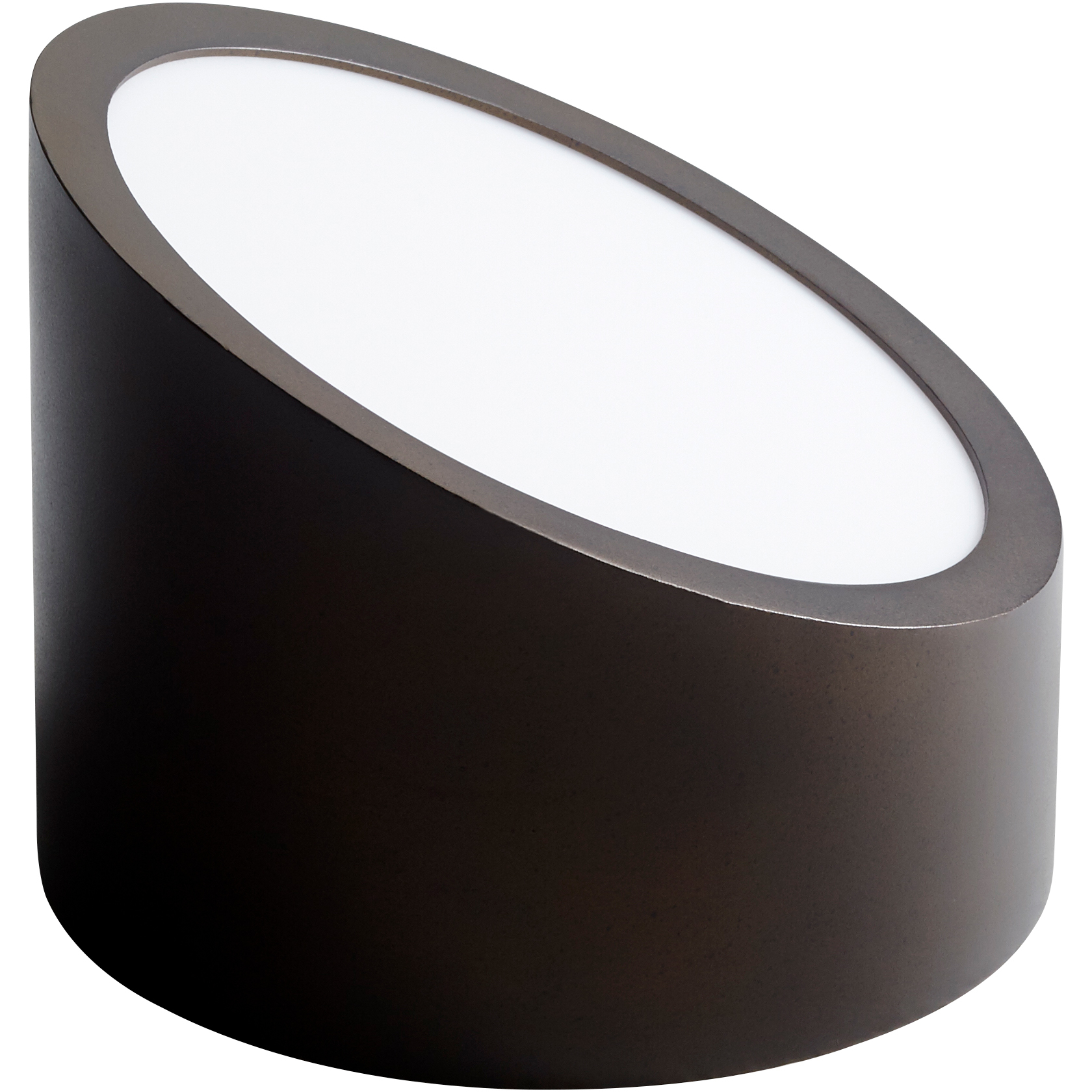 Zeepers 1 Light 5 inch Oiled Bronze Sconce Wall Light
