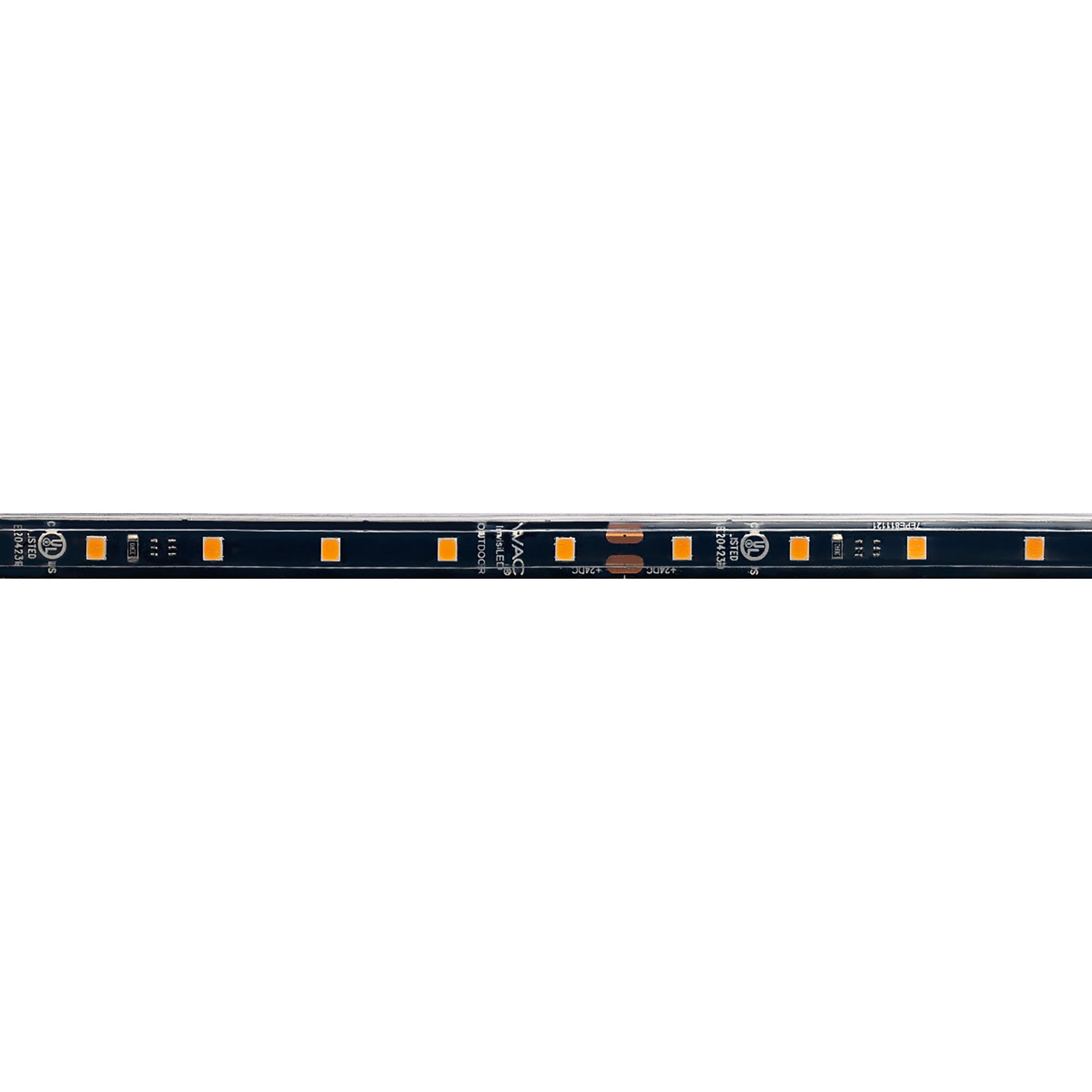 WAC 24VDC Strip Light 24 LED 240 inch Black Outdoor LED 24V Strip Light in 3000K Warm White LED, WAC Lighting