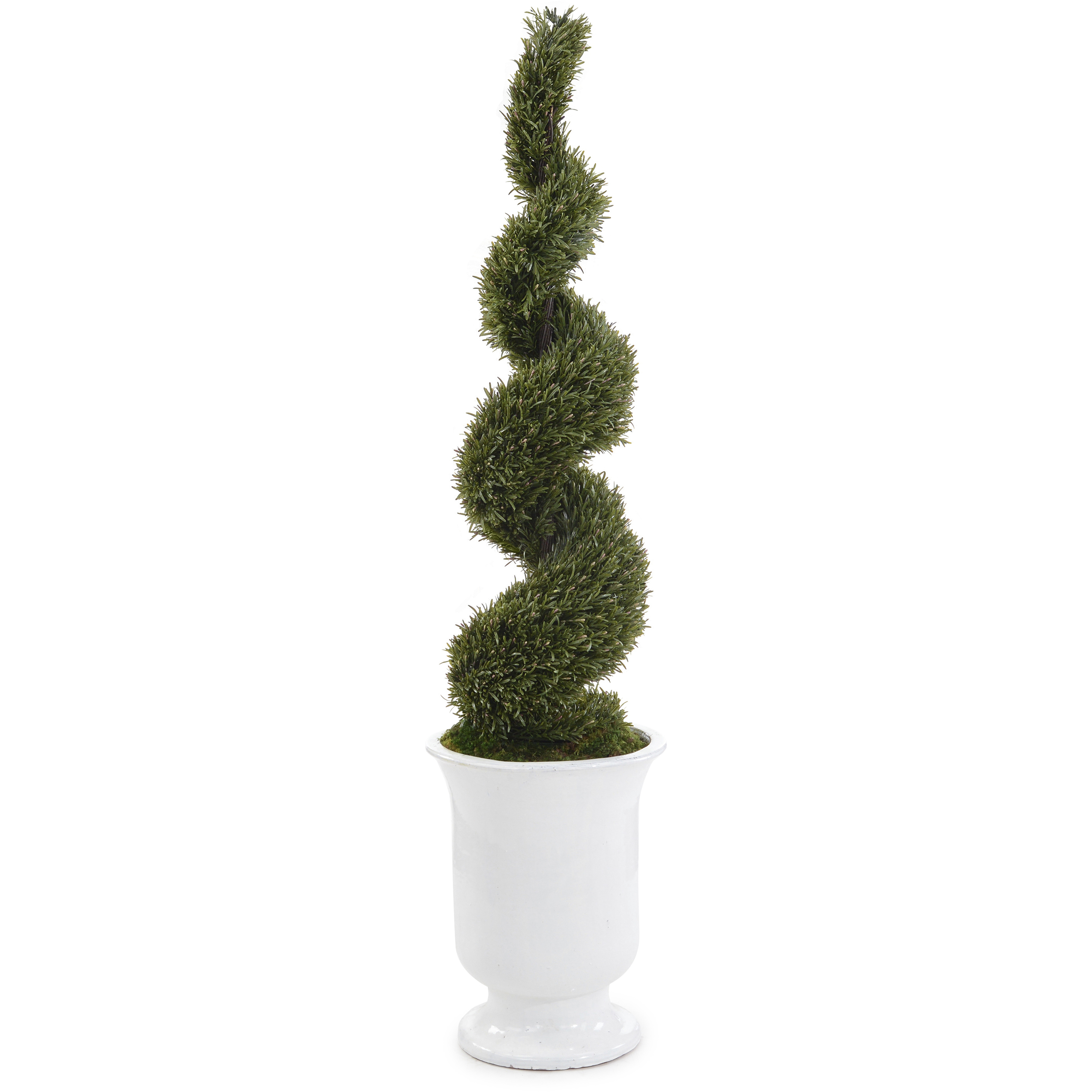 French Decorative Plant