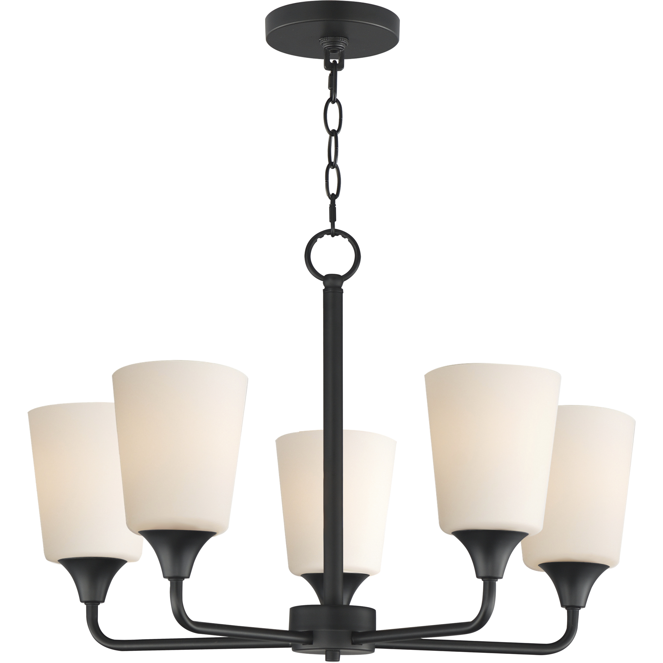 Hudson 5 Light 24 inch Black Single-Tier Chandelier Ceiling Light in Satin White