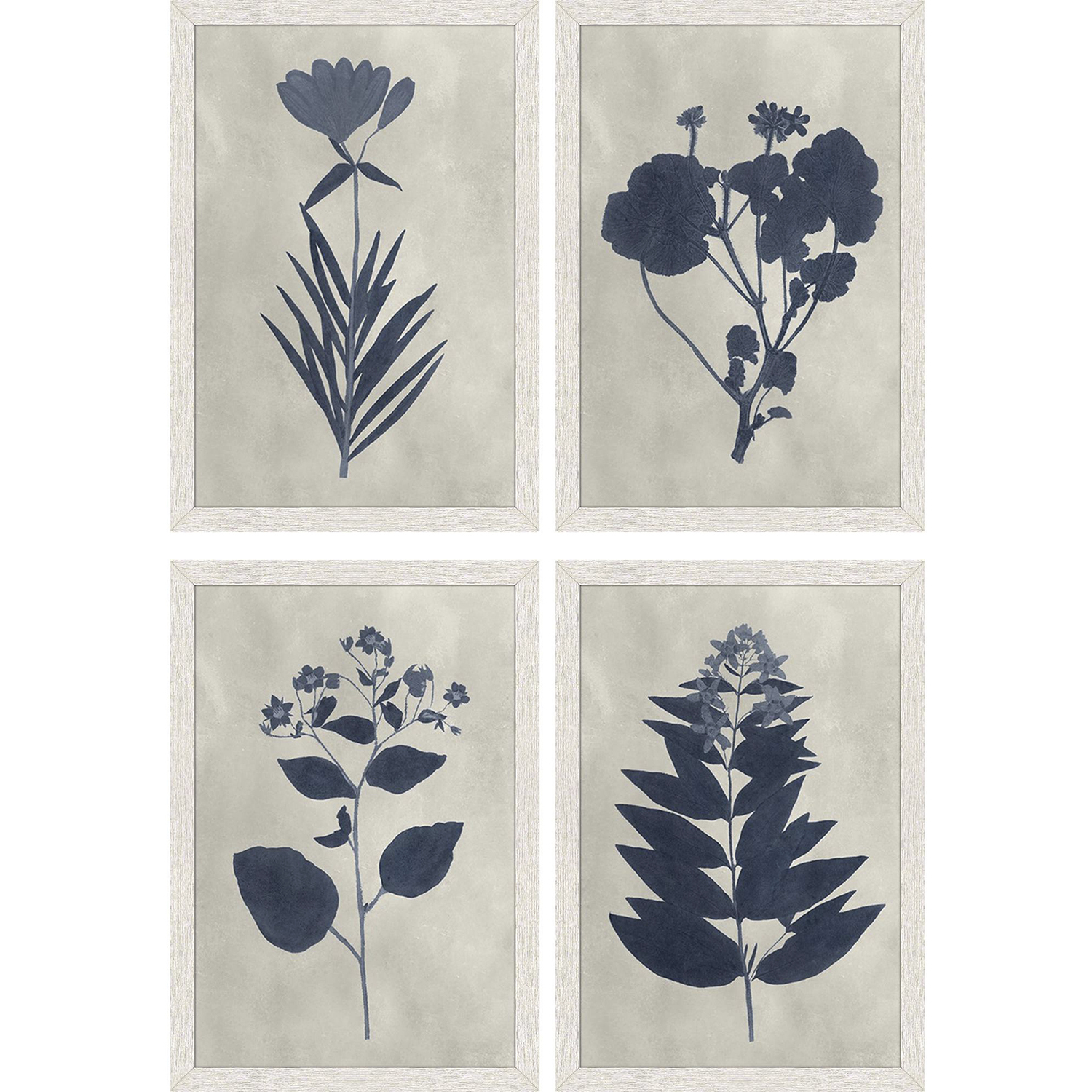 Pressed Flower Blue and White Framed Art, Propac