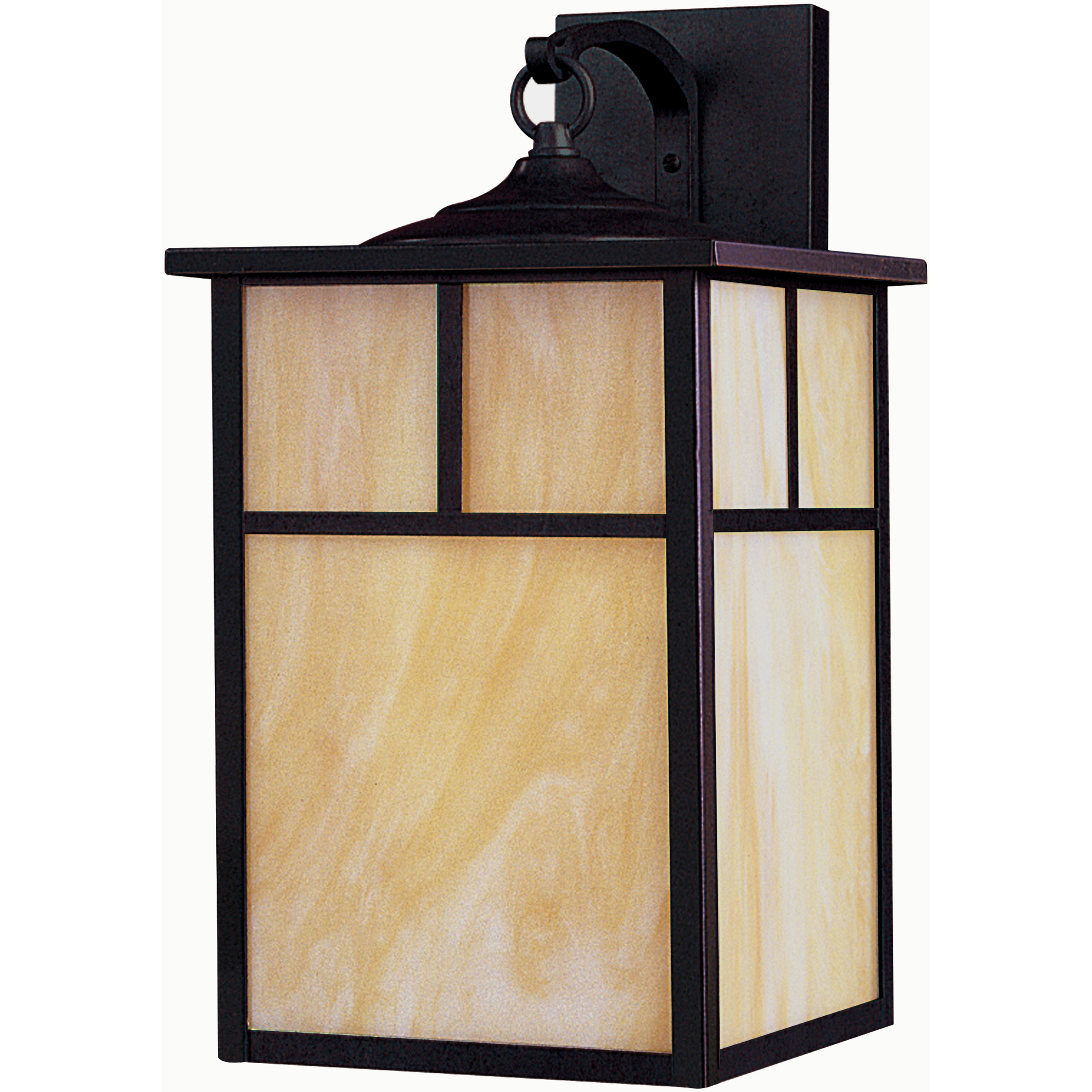 Coldwater 1 Light 16 inch Burnished Outdoor Wall Mount in Honey