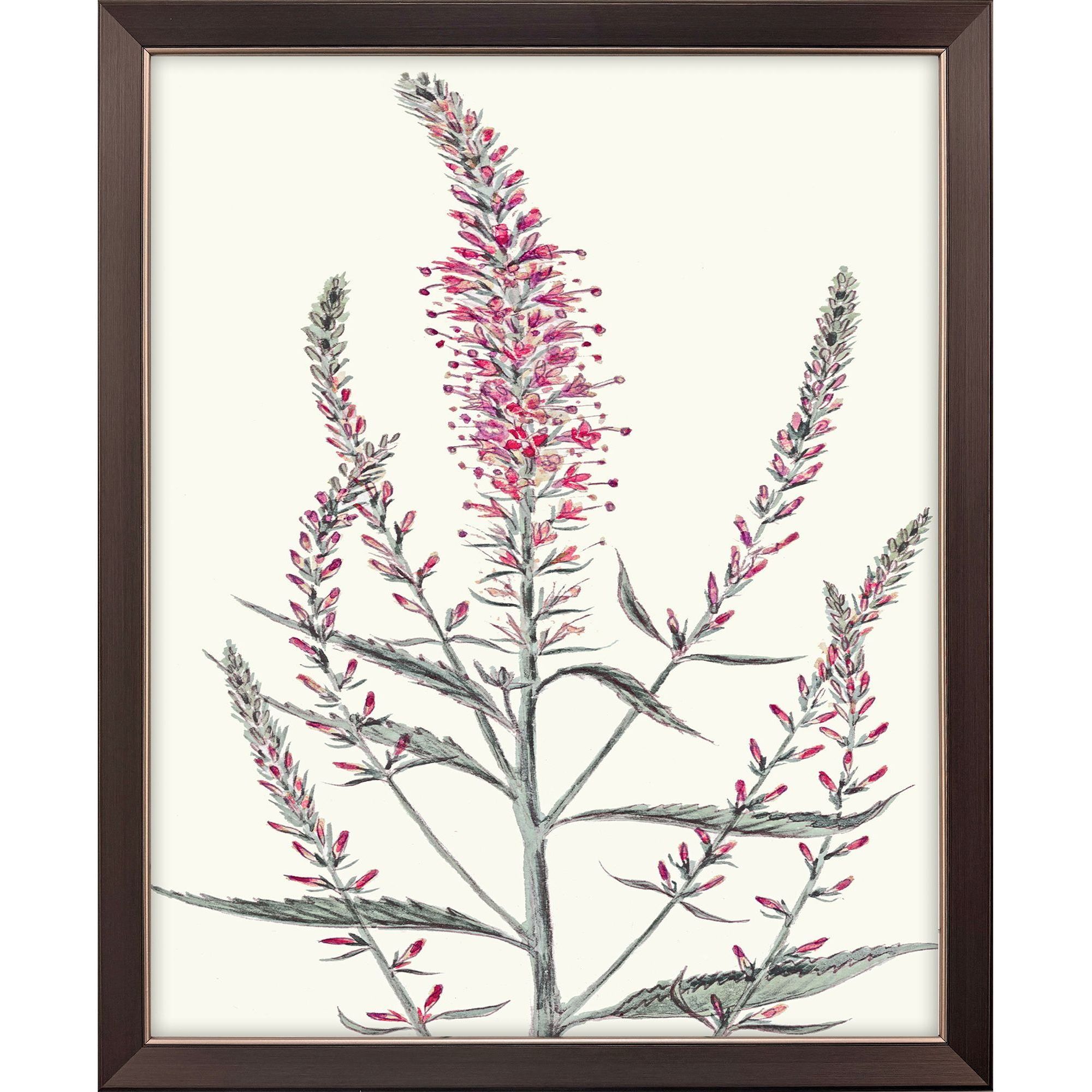 Pink Veronique Pink and Green and Multi Framed Art, Propac