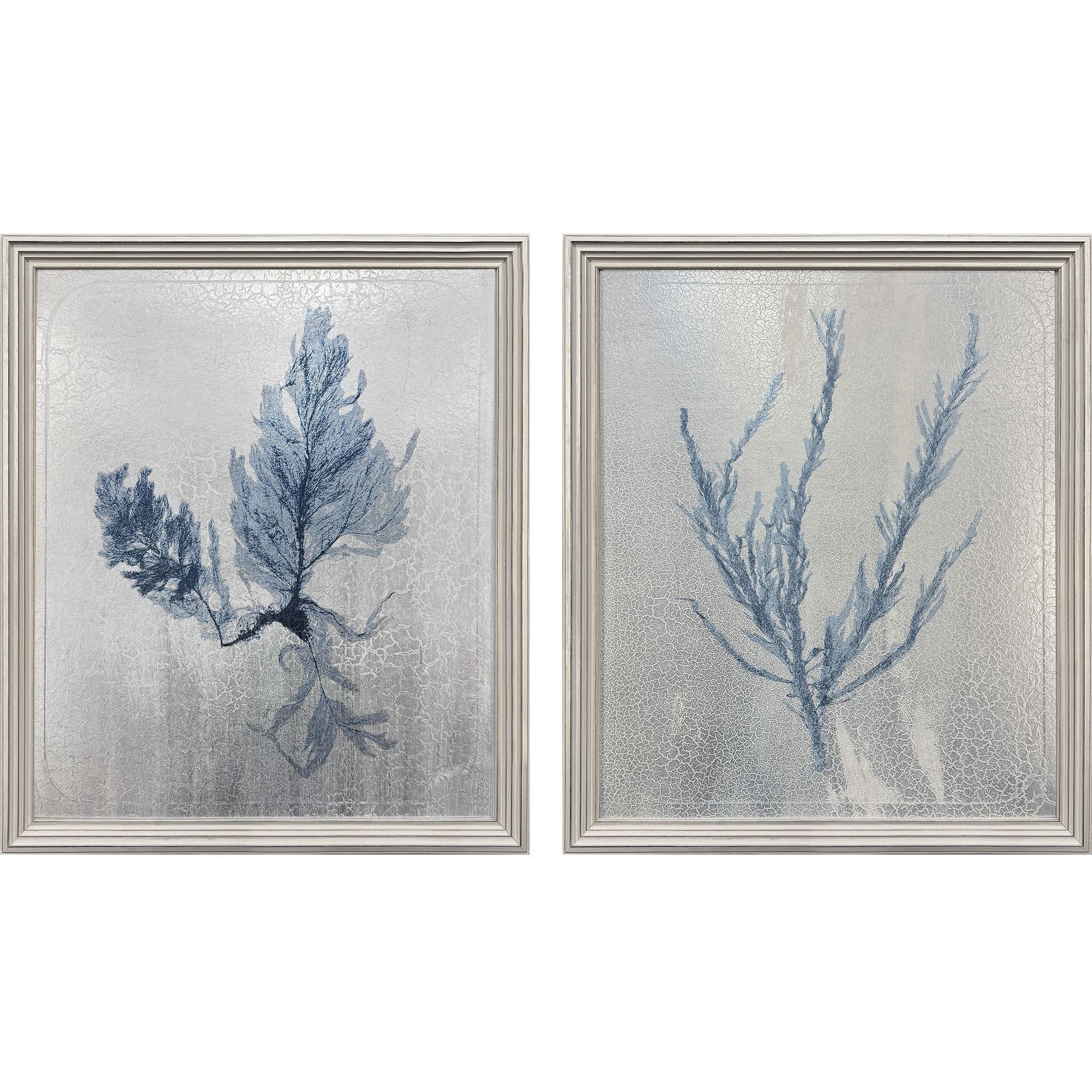 Oceanic Curiosity Blue and Metallic Framed Art, The Studio