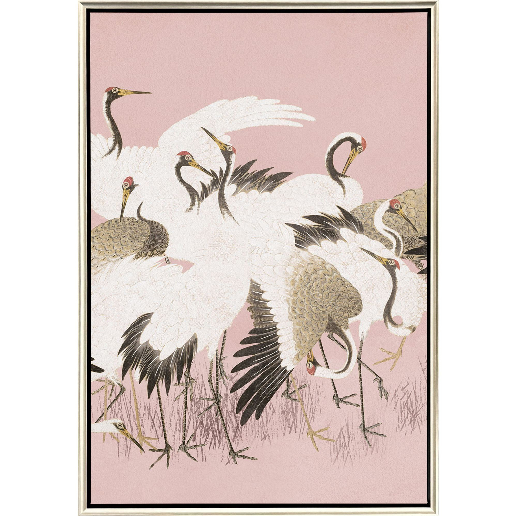 Curious Cranes Pink Canvas