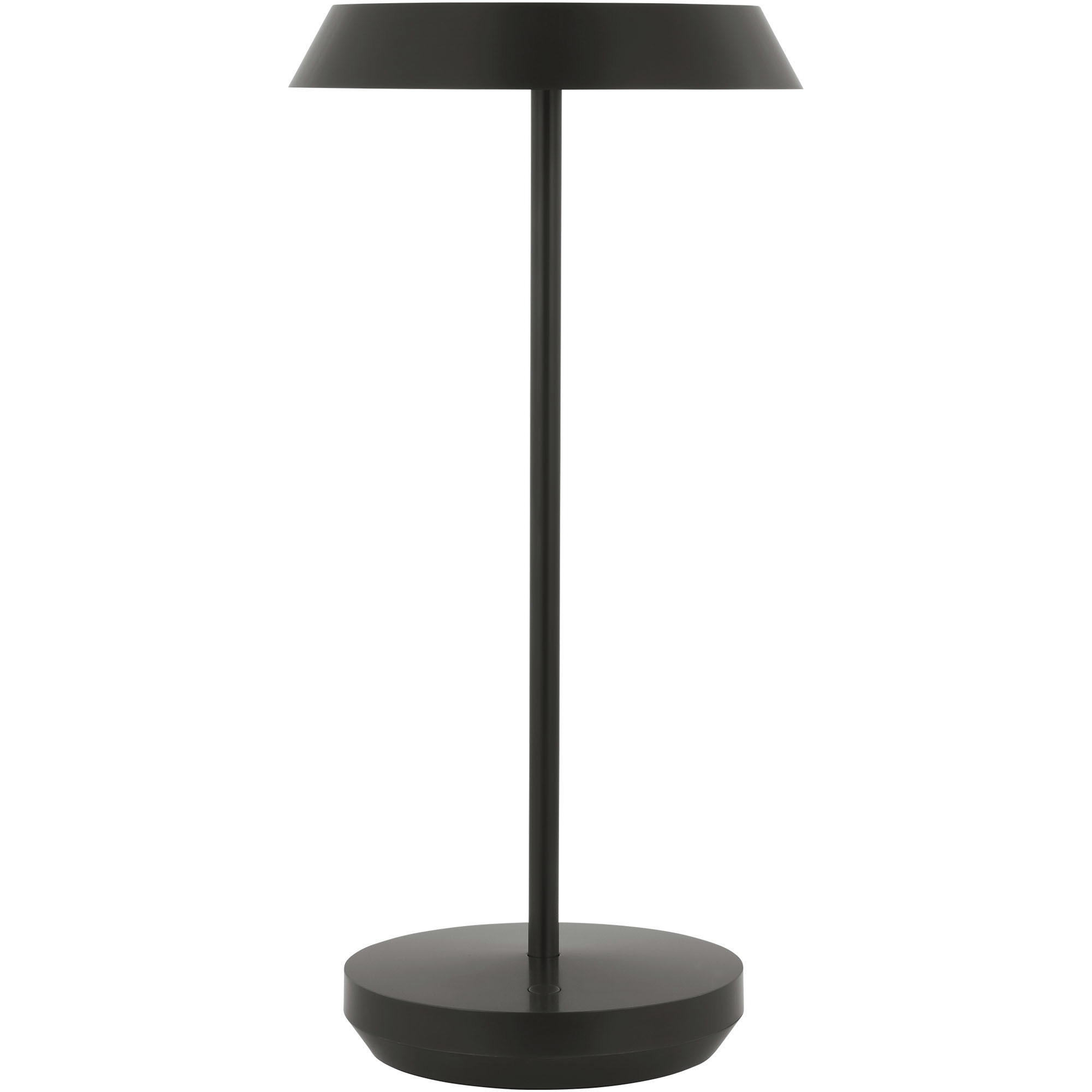 Sean Lavin Tepa 13.1 inch 2.4 watt Bronze Rechargeable Table Lamp Portable Light