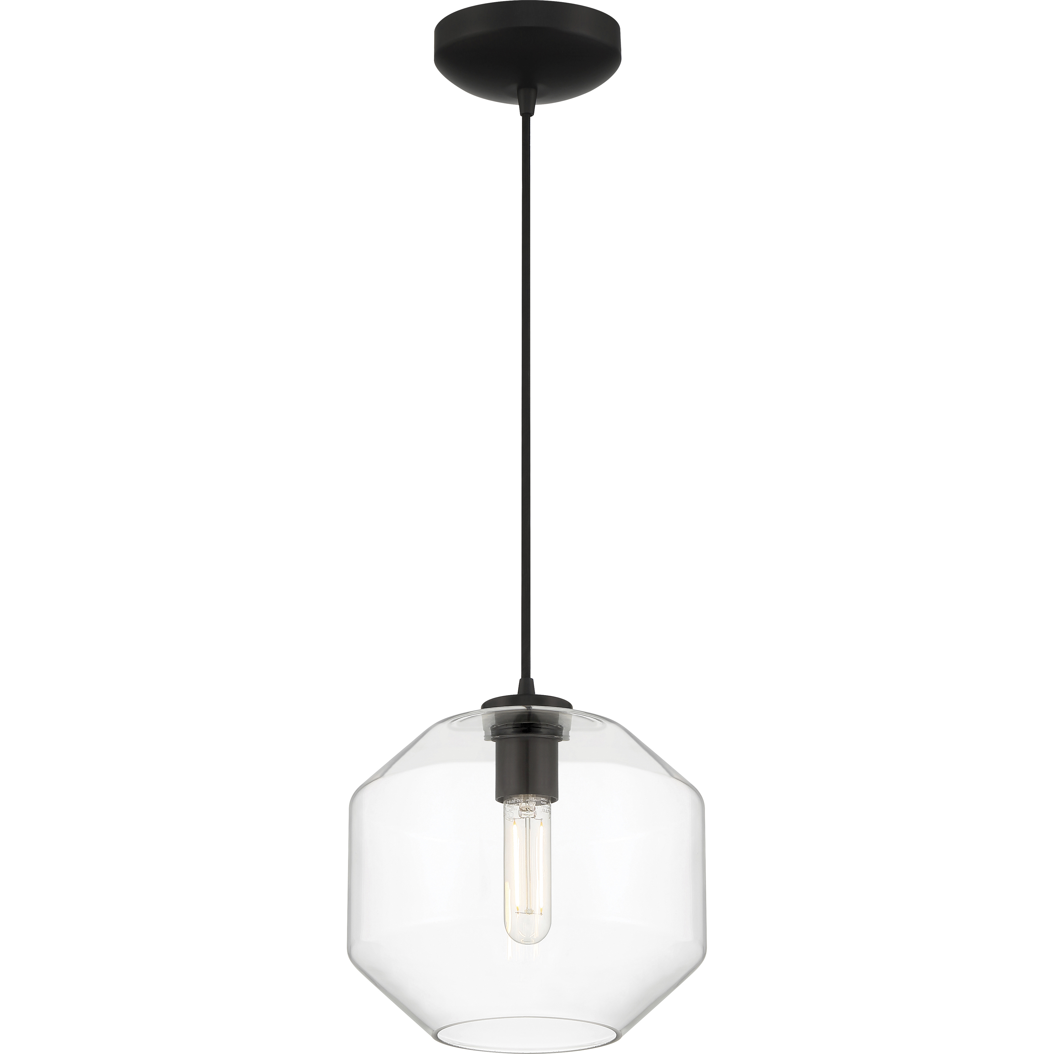 Clarity 9.5 inch Black Pendant Ceiling Light