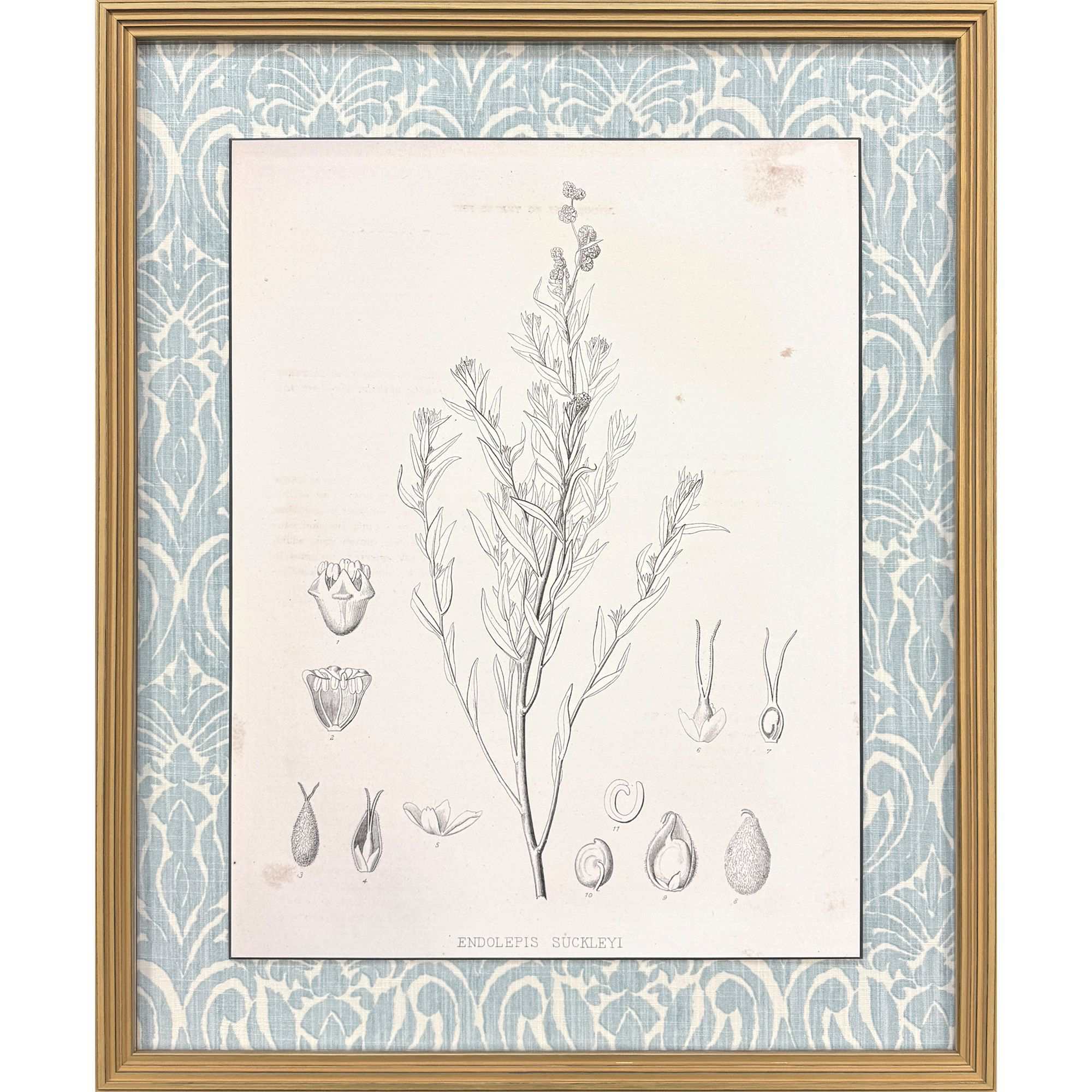 Botanical Sketch I Gray and Beige and Neutral and Sepia Framed Art