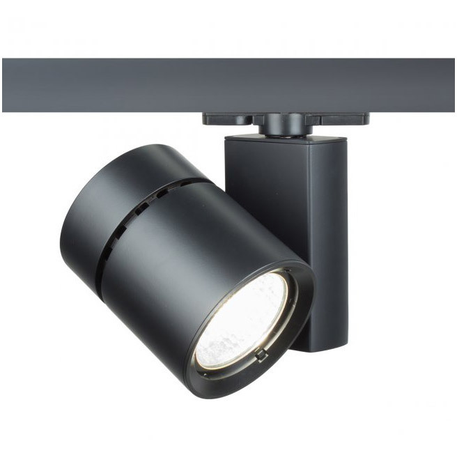 Exterminator II 1 Light 120 Black Track Head Ceiling Light in Flood, 85, 3500K