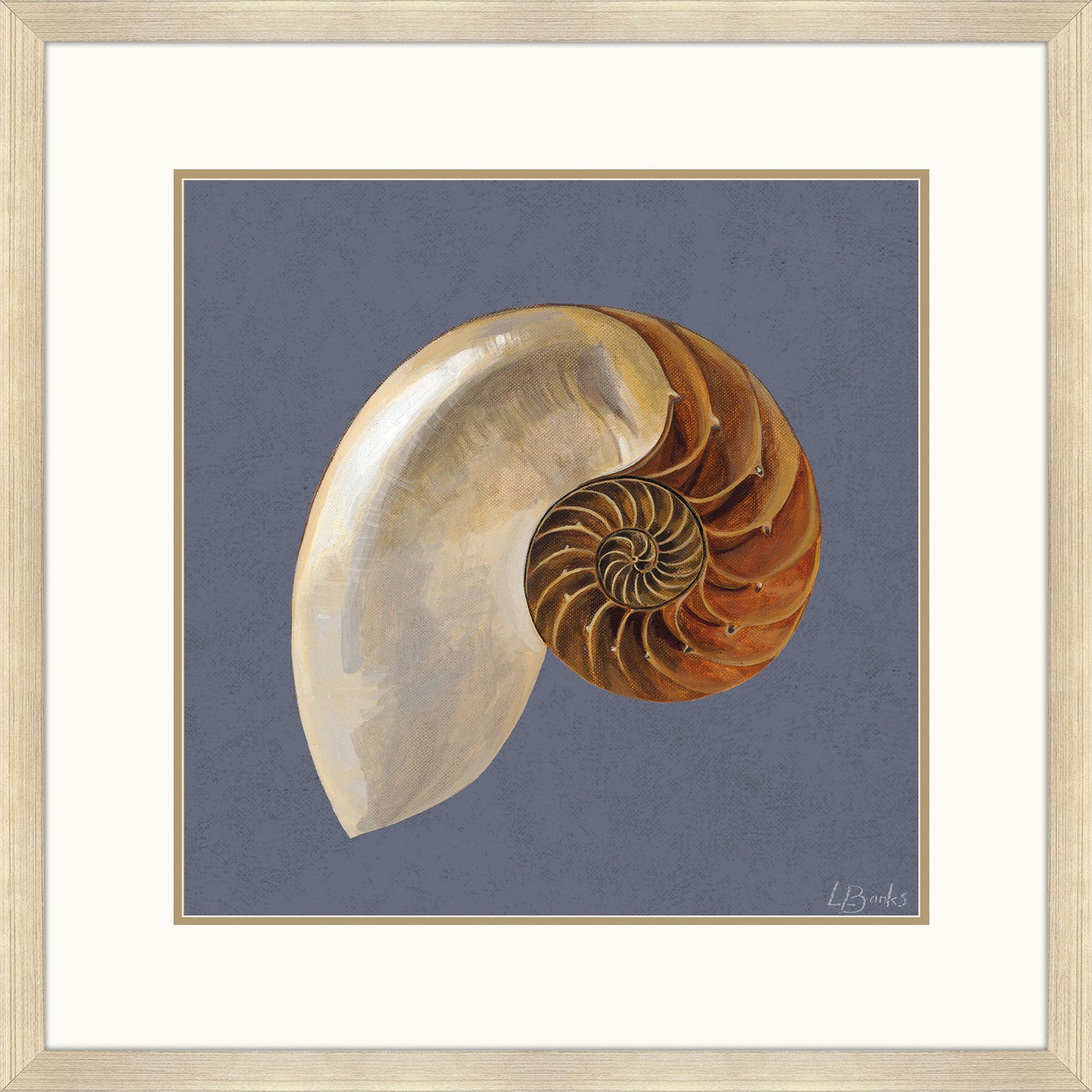 Coastal Delight / Ocean Treasure Blue and Beige and Brown Framed Art