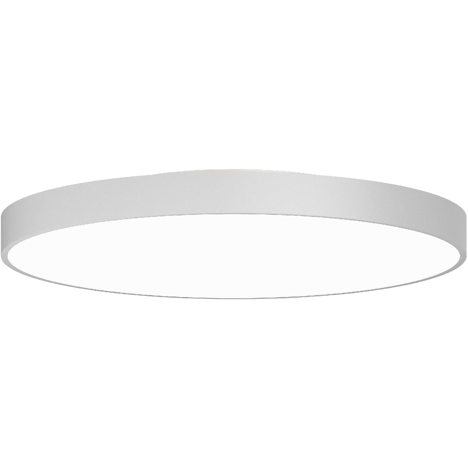 Rhythm LED 24 inch White Flush Mount Ceiling Light in Direct/Indirect